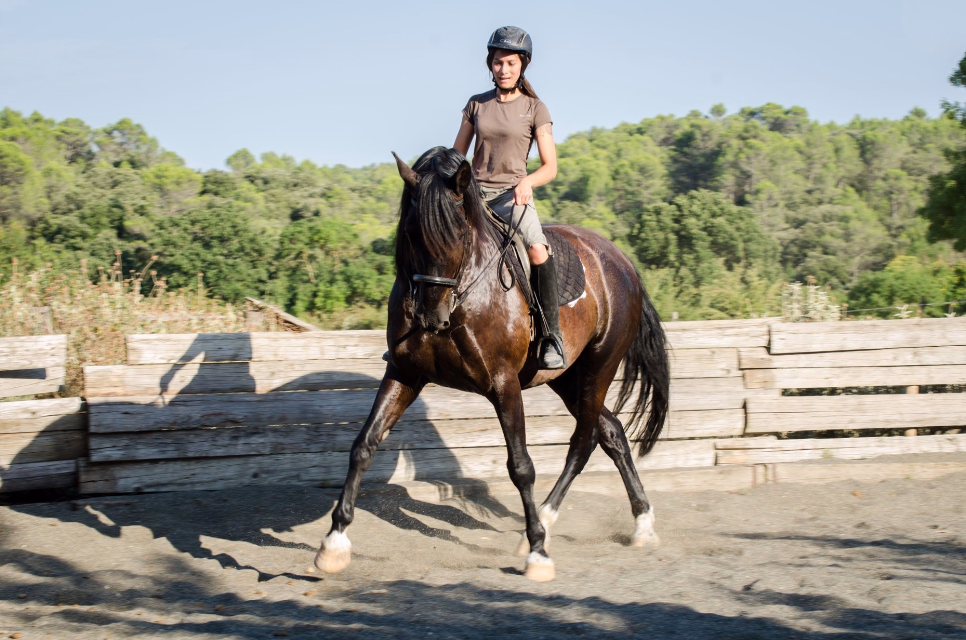 Stage équitation multi-activités au coeur des Vosges