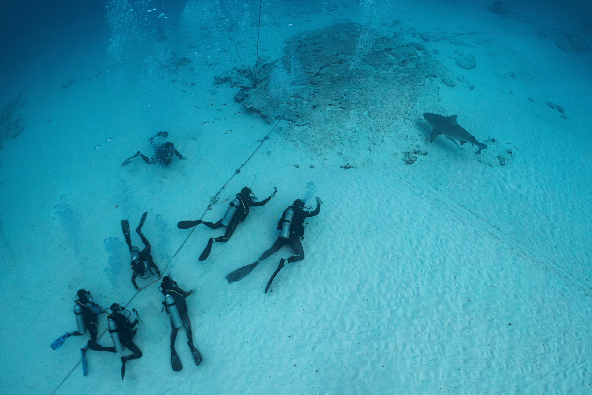 Plongez à la découverte des trésors sous-marins du Mexique