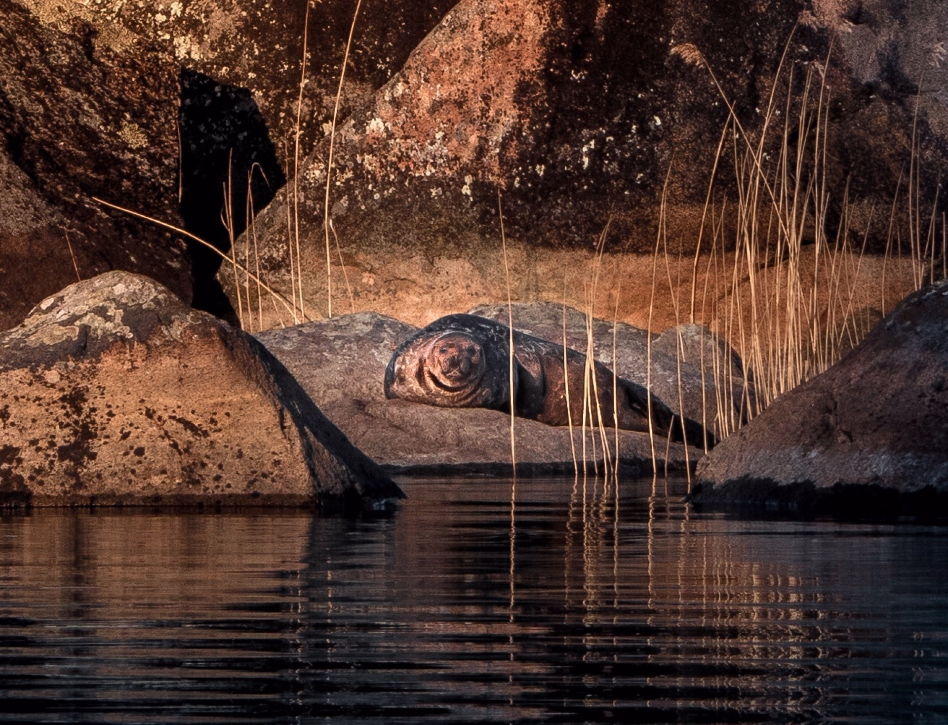 Évasion en Finlande : Nature, Action & Authenticité