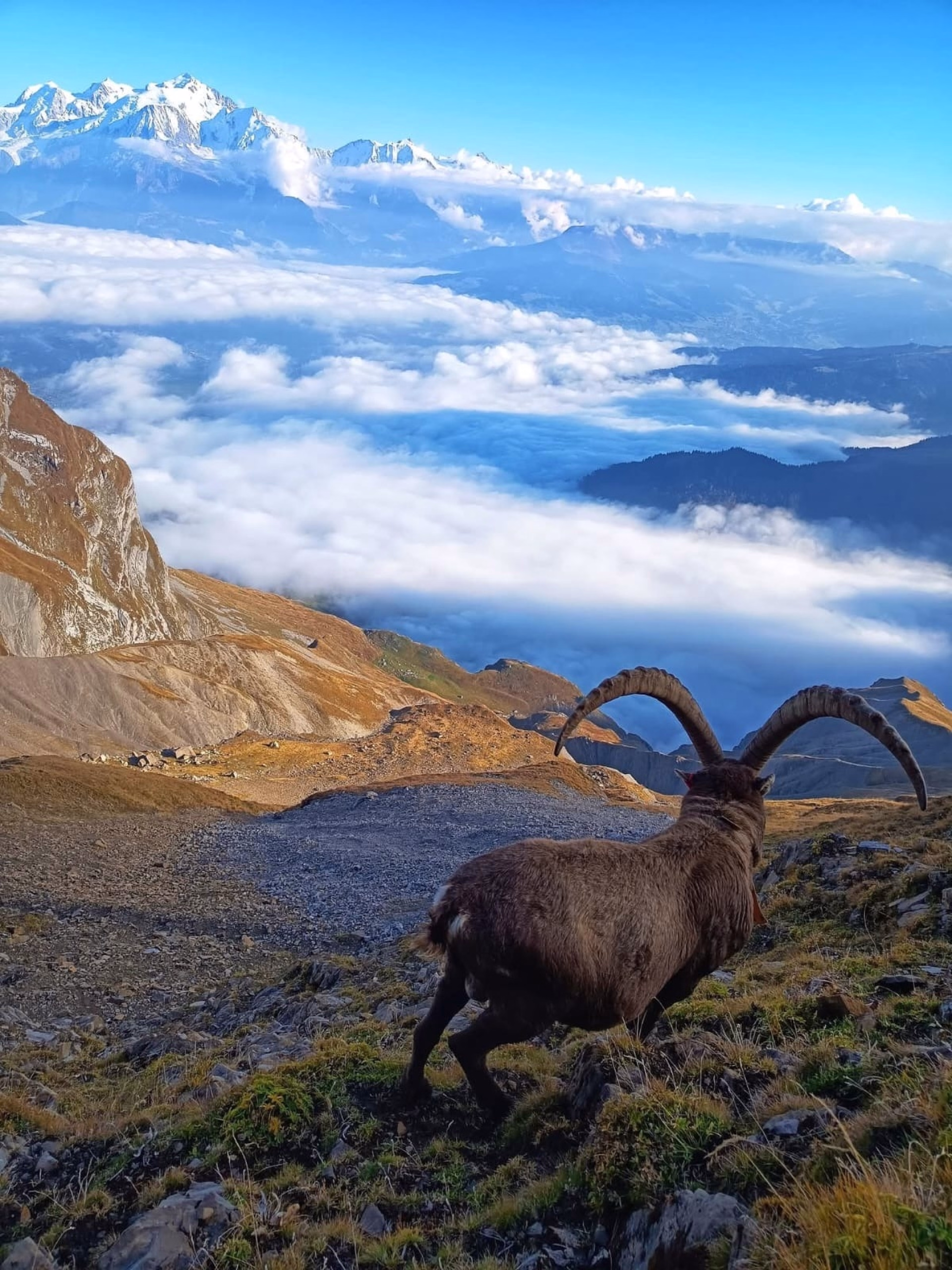 Itinérance trail dans les Aravis entre crêtes et refuges
