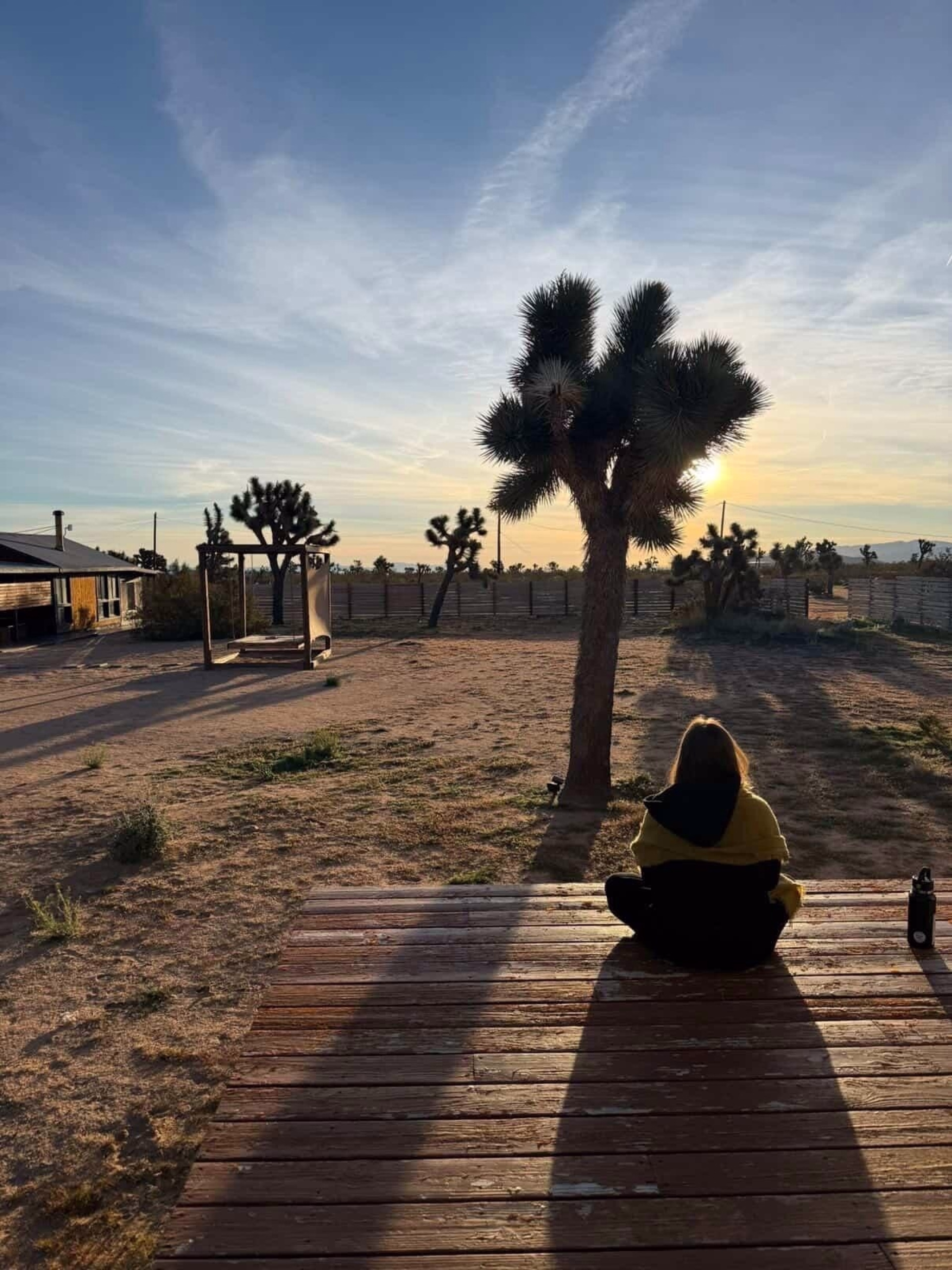 Désert sauvage — 6 jours de yoga & d'aventure à Joshua Tree