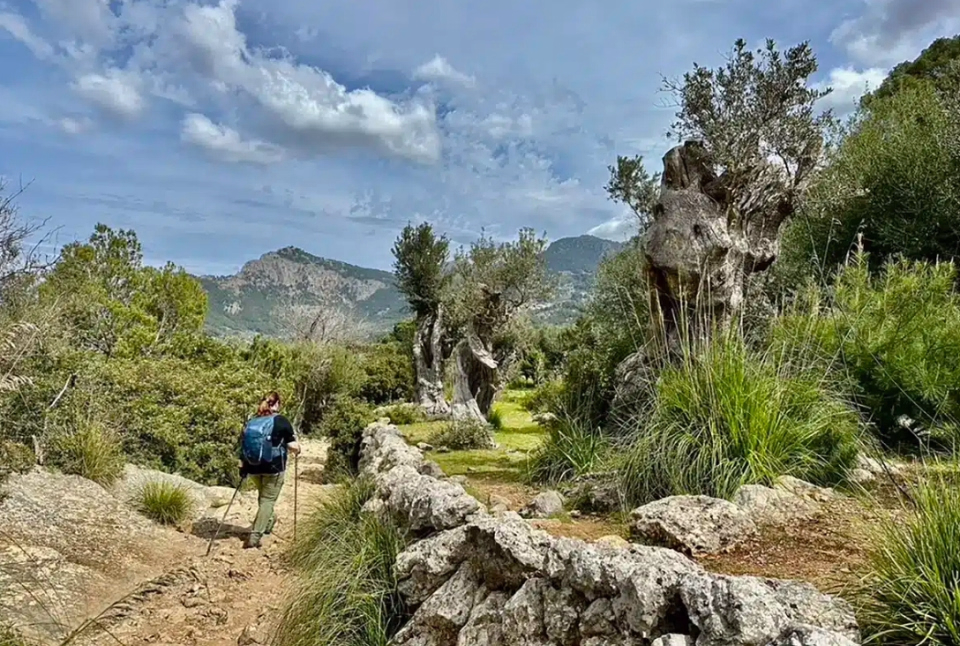 Randonnée dans la Sierra de Tramuntana (GR221)