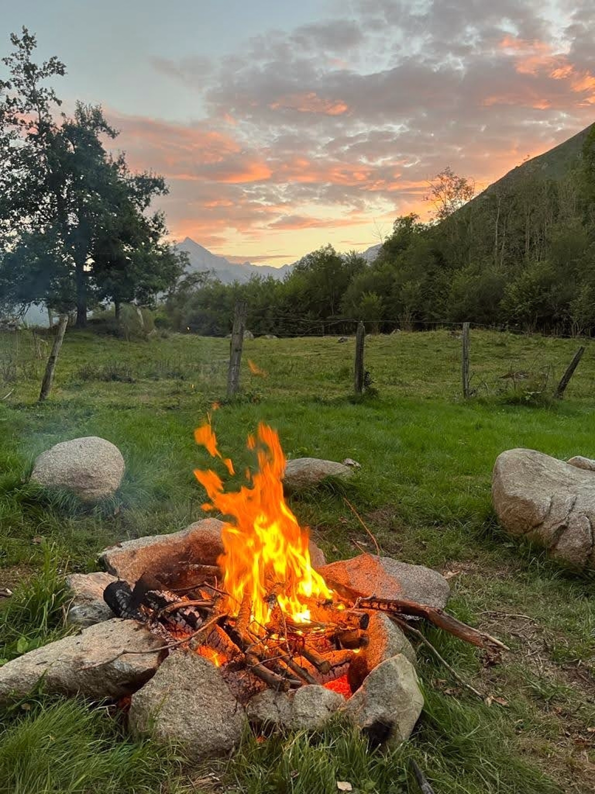 ⛺️ Camping - Jours 1 à 5