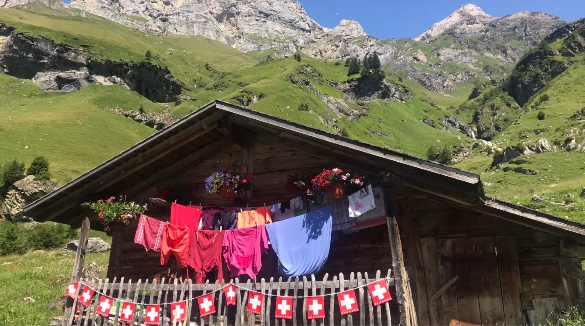 Stage trail face aux glaciers de l’Oberland suisse