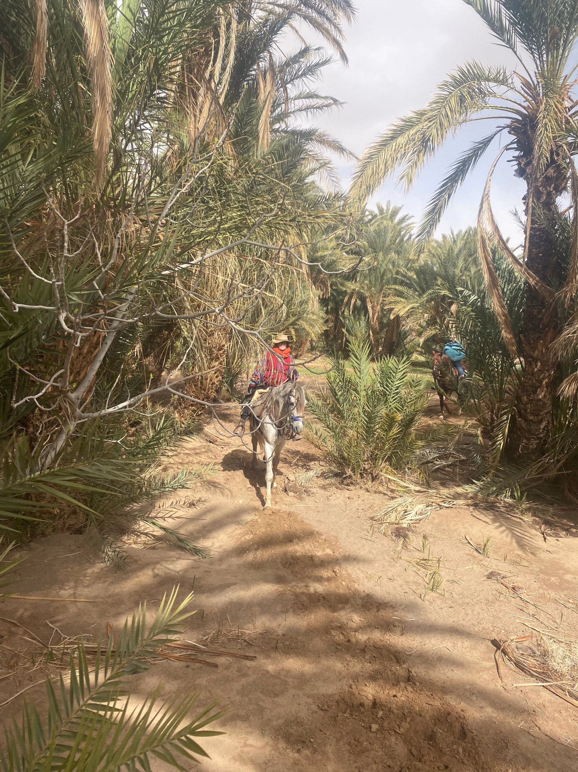 Le Sentier des 1000 Kasbahs : Découverte de la région de Ouarzazate