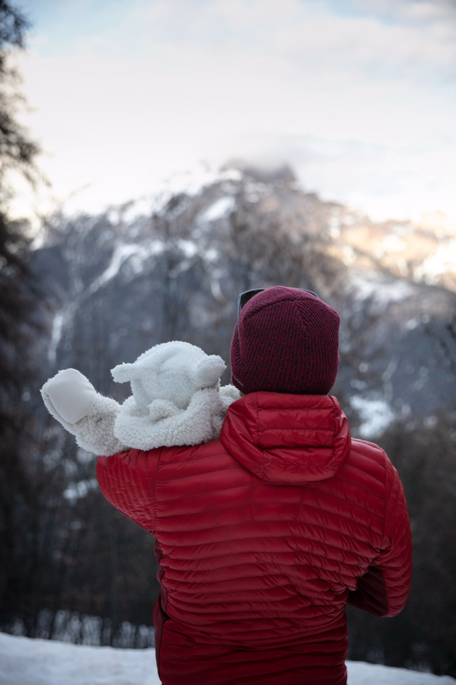 Séjour ski spécial jeunes parents,1 forfait pour 2 à Pelvoux Vallouise