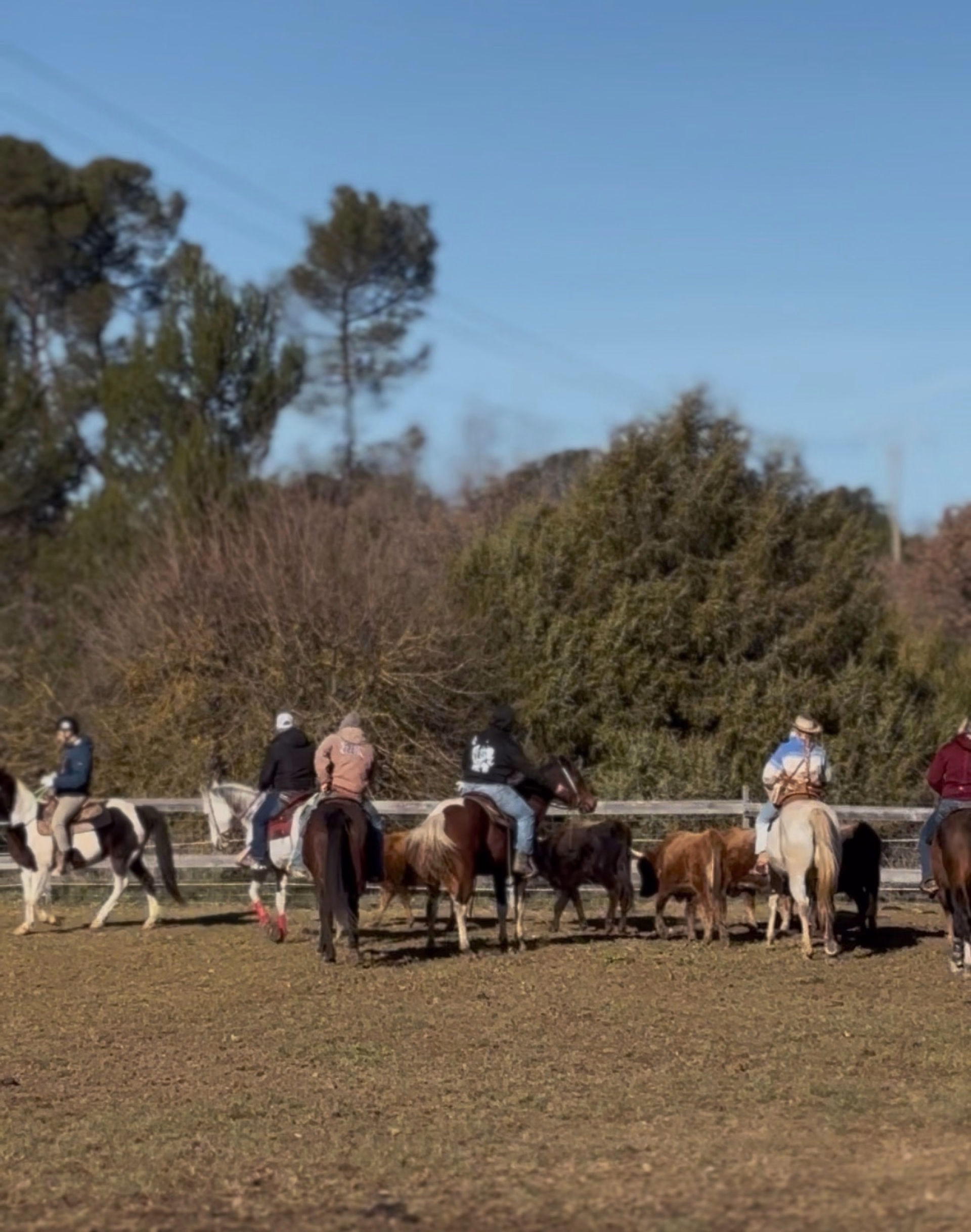 Immersion totale en ranch western en Provence verte