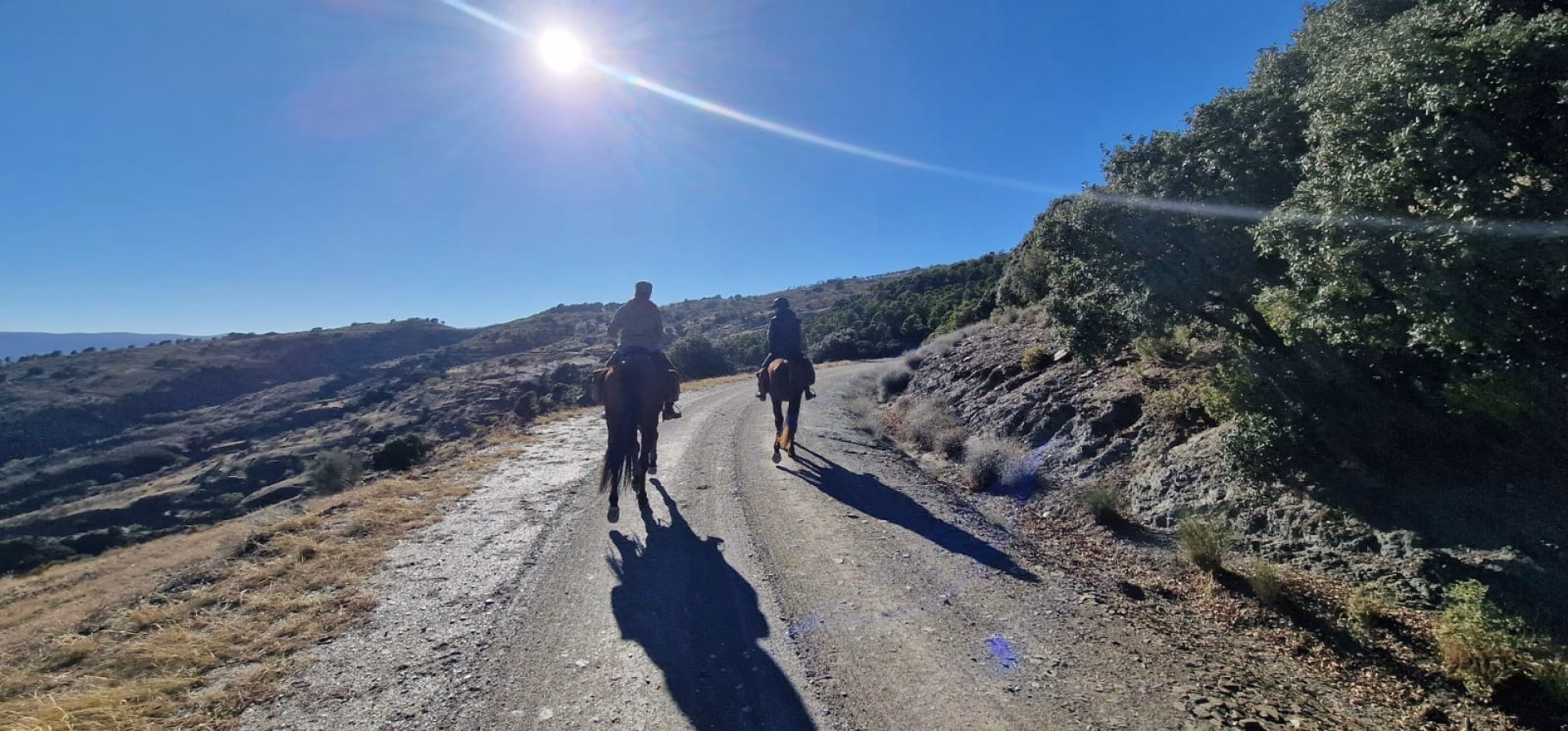 Aventure équestre dans le désert de Tabernas