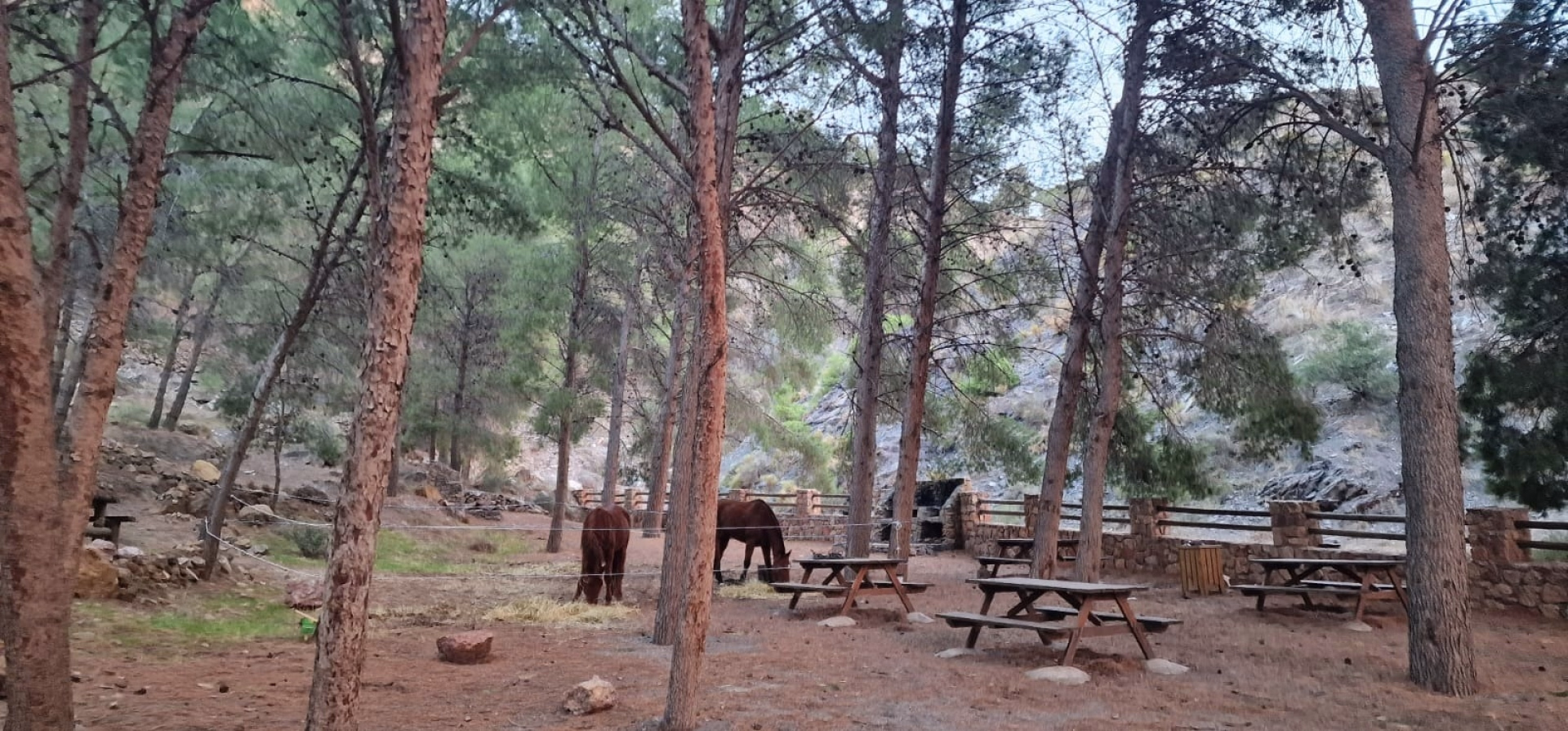 ⛺️ Bivouac / Tente - Jour 2 et 4