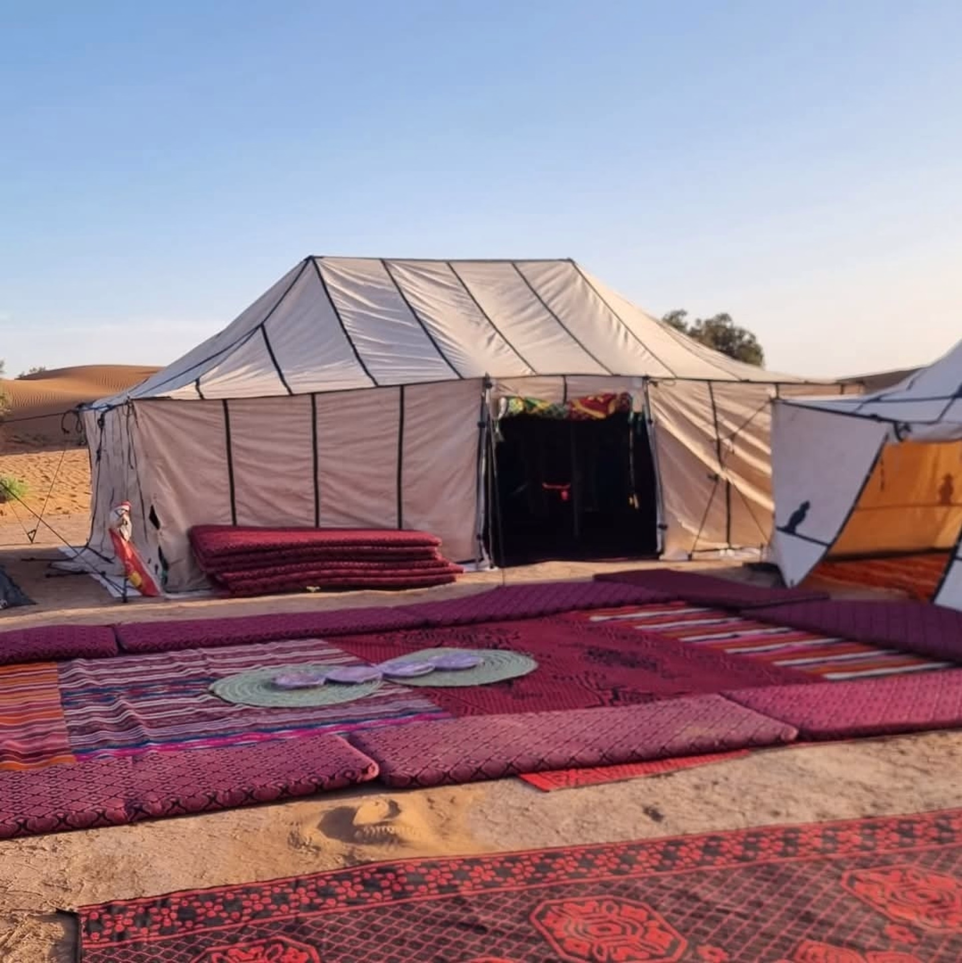 ⛺️ Bivouac / Tente - Jours 1 à 5