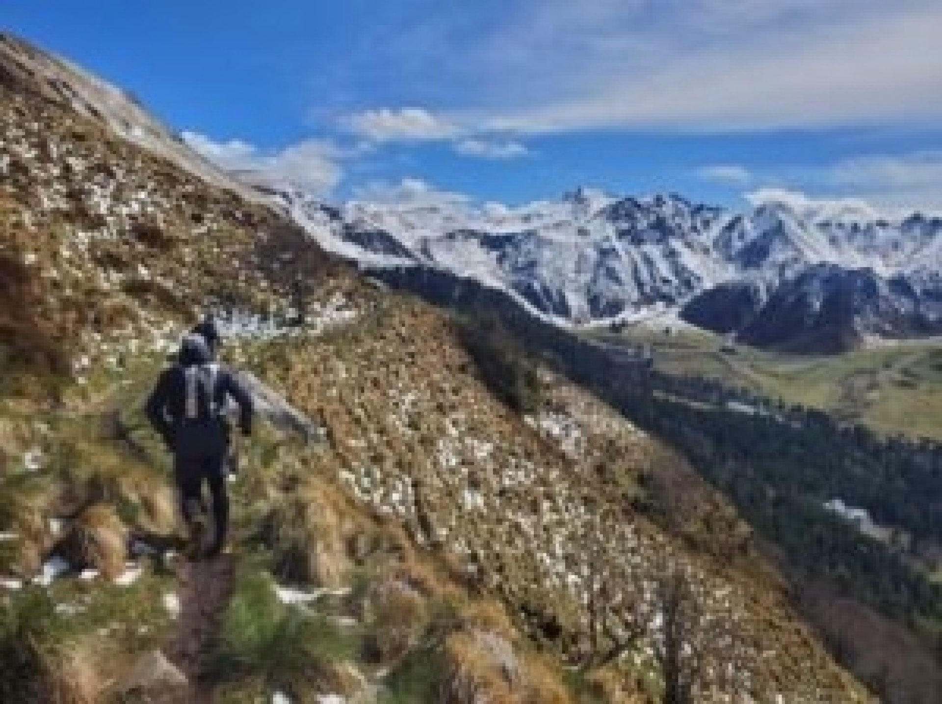 Initiation ou perfectionnement au trail dans le Puy-de-Dôme