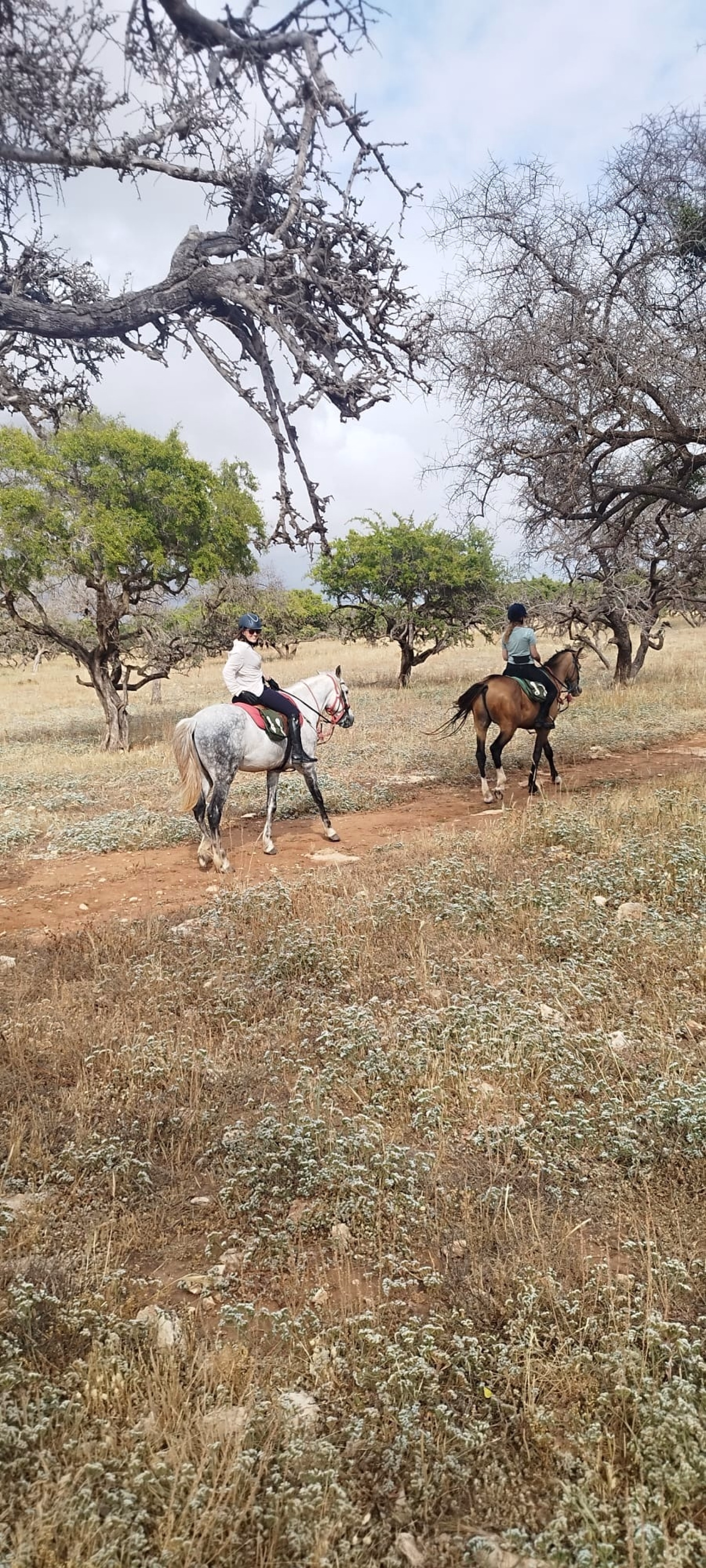 La Boucle d'Argana - Randonnée équestre à Essaouira