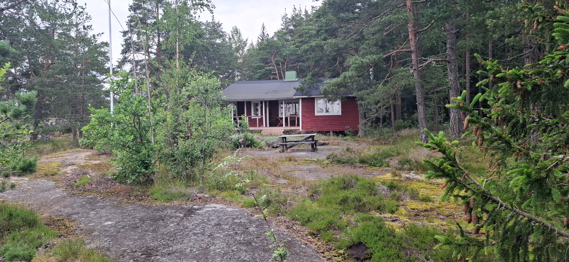 Séjour pêche aux brochets en Finlande