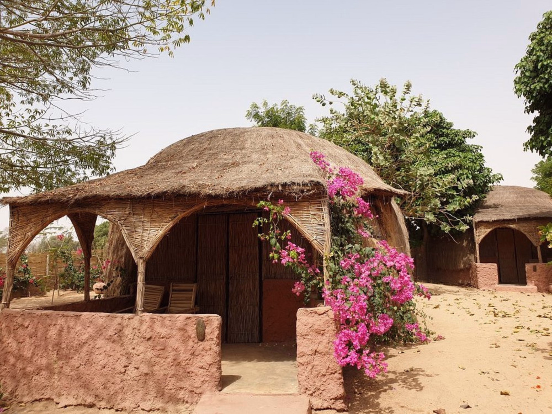 Safari à cheval dans le Sine Saloum au Sénégal