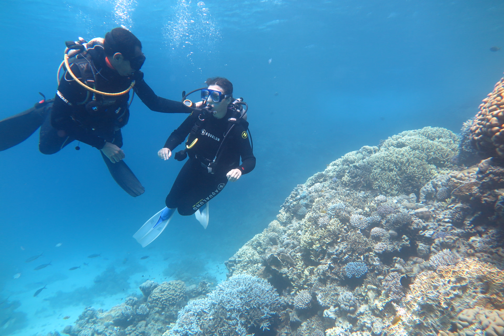 Formation Scuba Diver première immersion à Hurghada