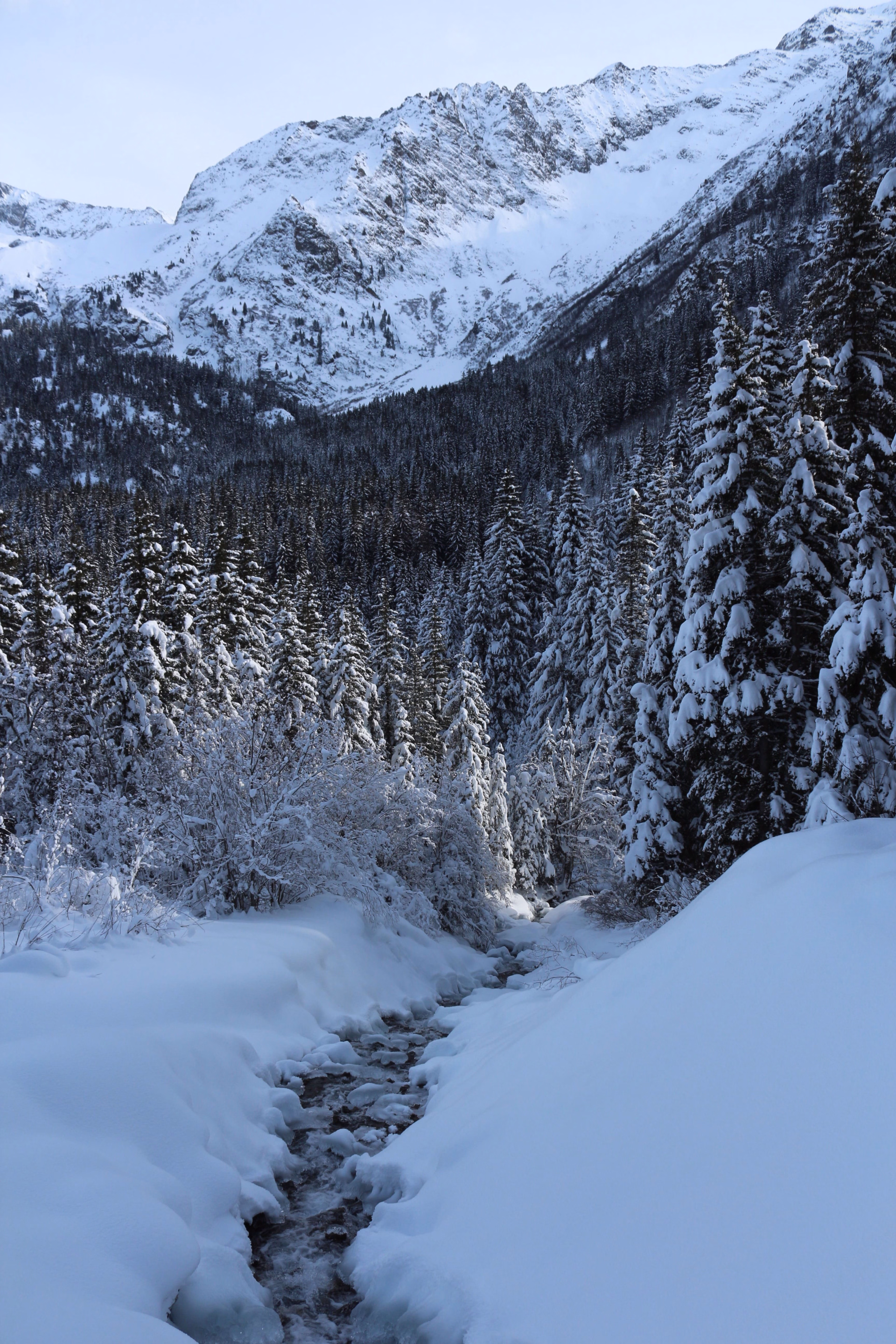 Séjour raquettes au pays du Mont-Blanc