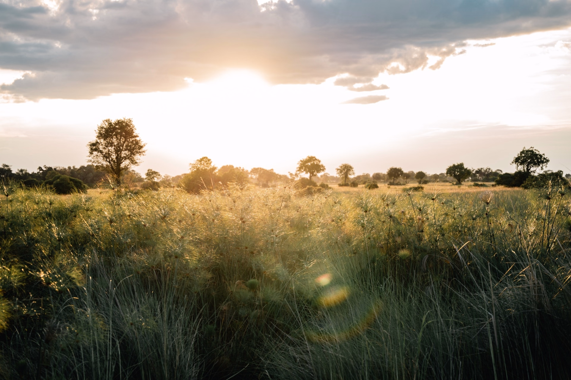 Yoga et randonnée bien-être au cœur du Kenya sauvage