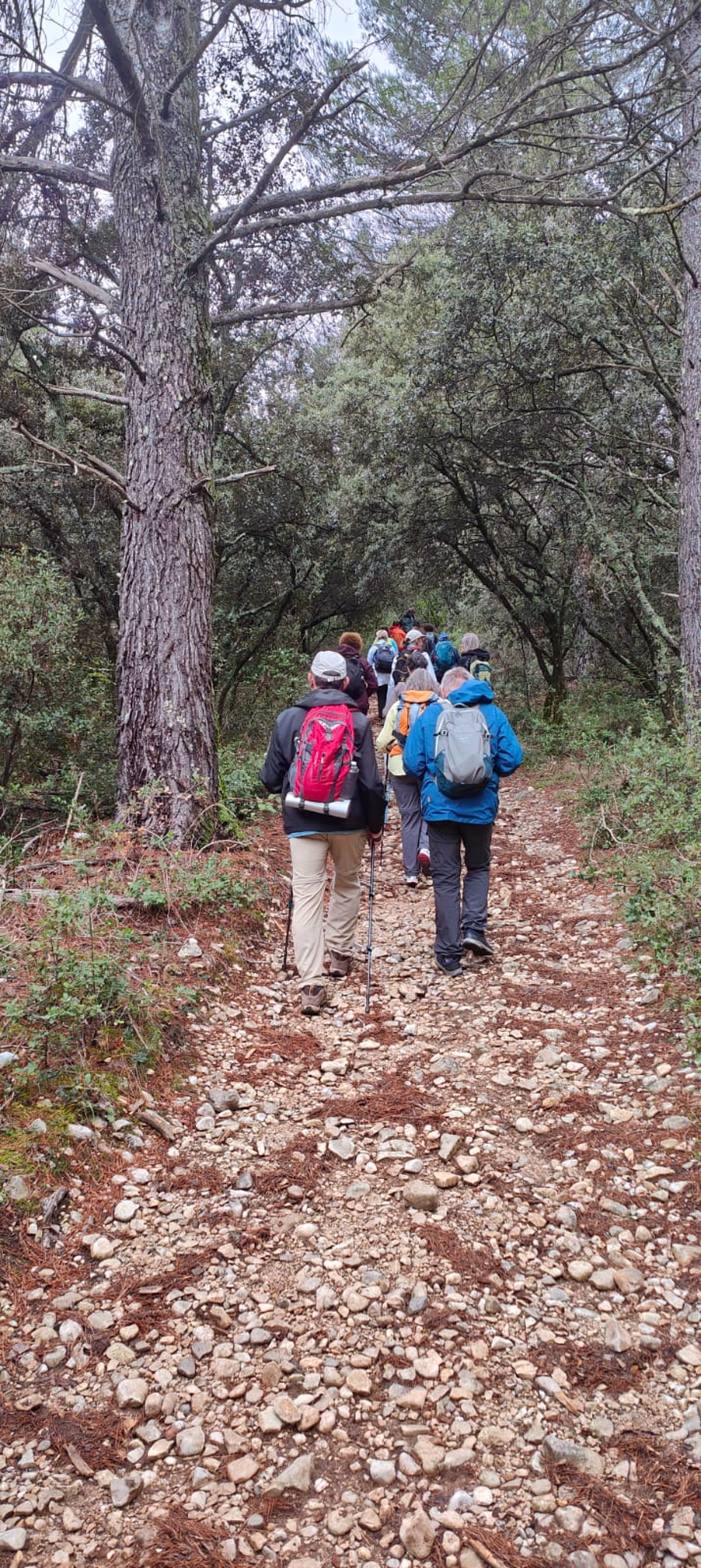 Randonnées et bien-être à Vaison-la-Romaine