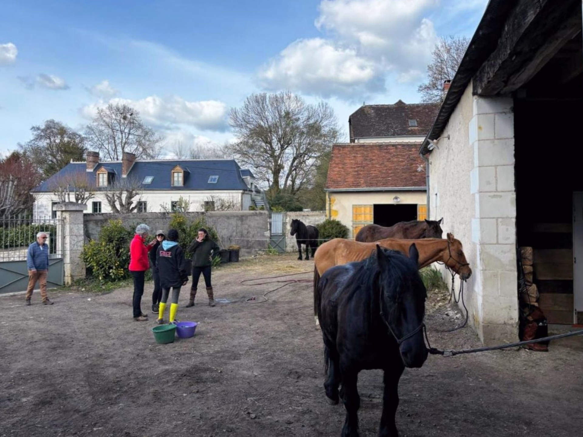 Week-end en Touraine à cheval entre châteaux et vignes