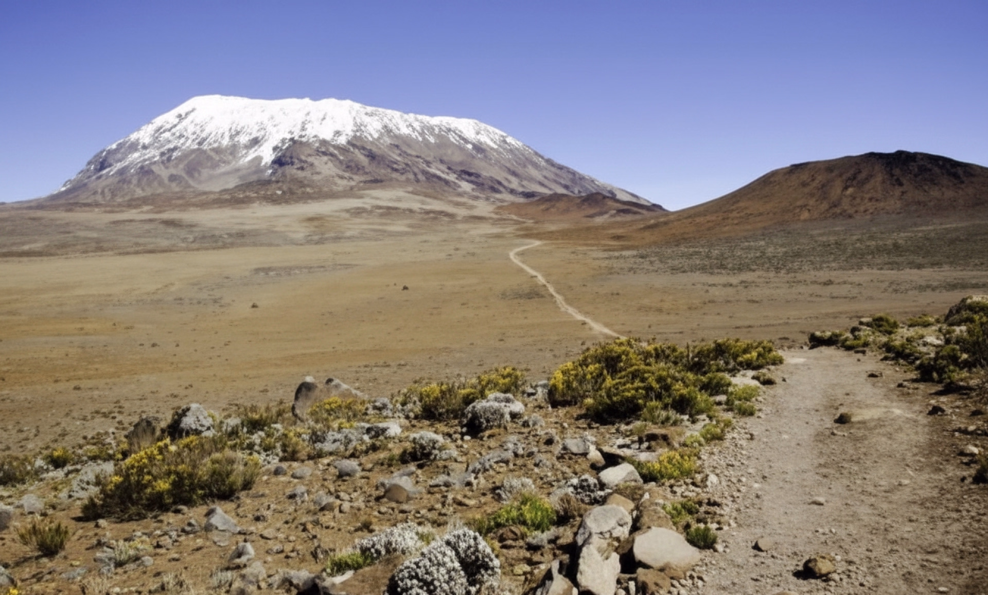 Ascension du Kilimandjaro par la voie Lemosho