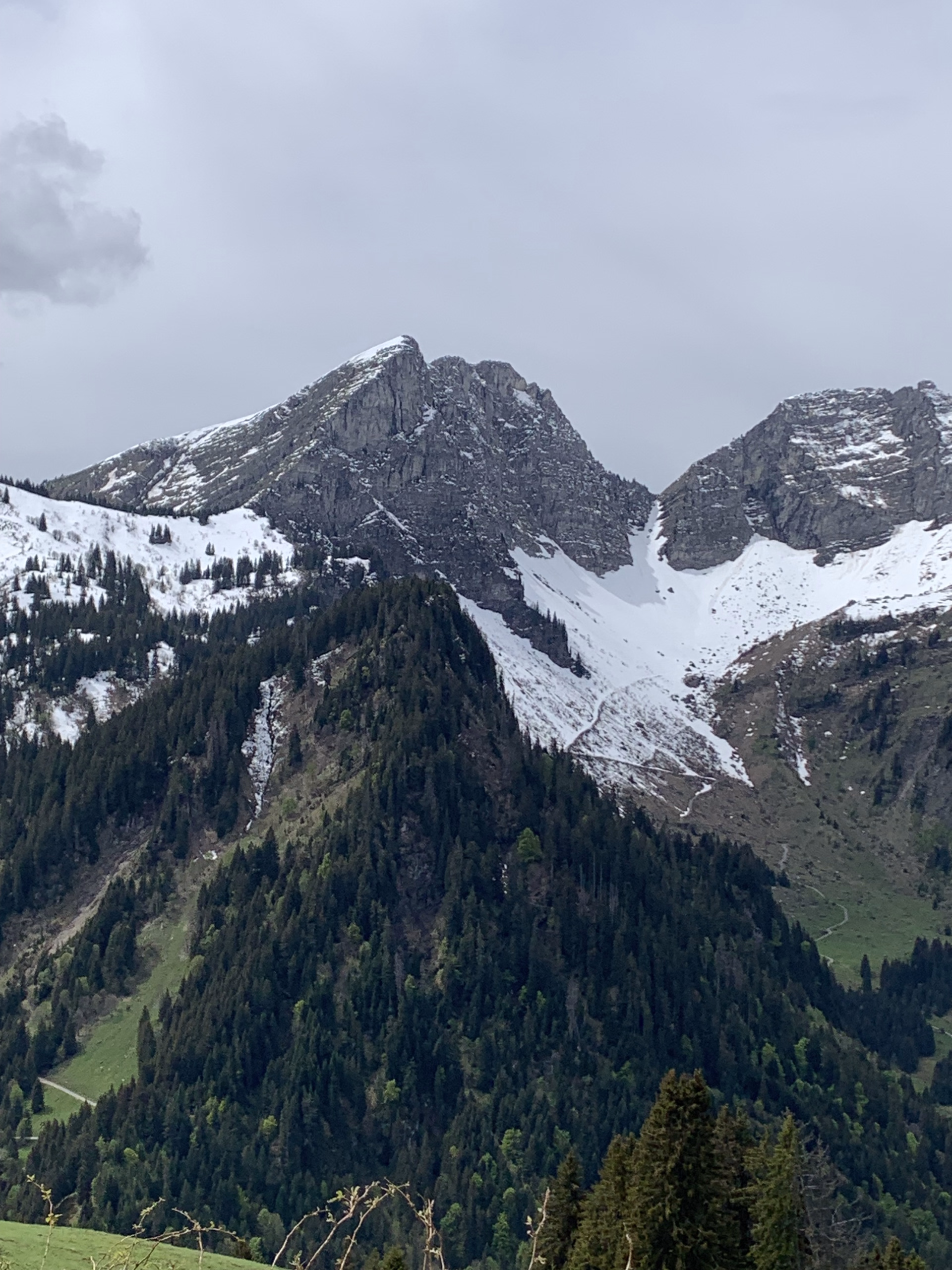 Murielle