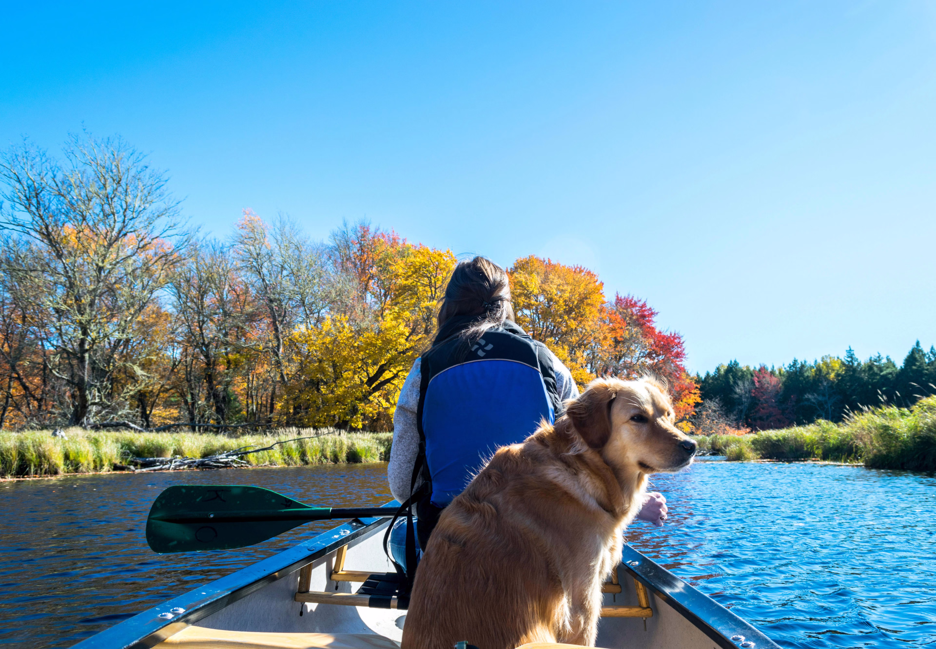 Voyage avec son chien en Canoë © Voyage avec son chien en Canoë