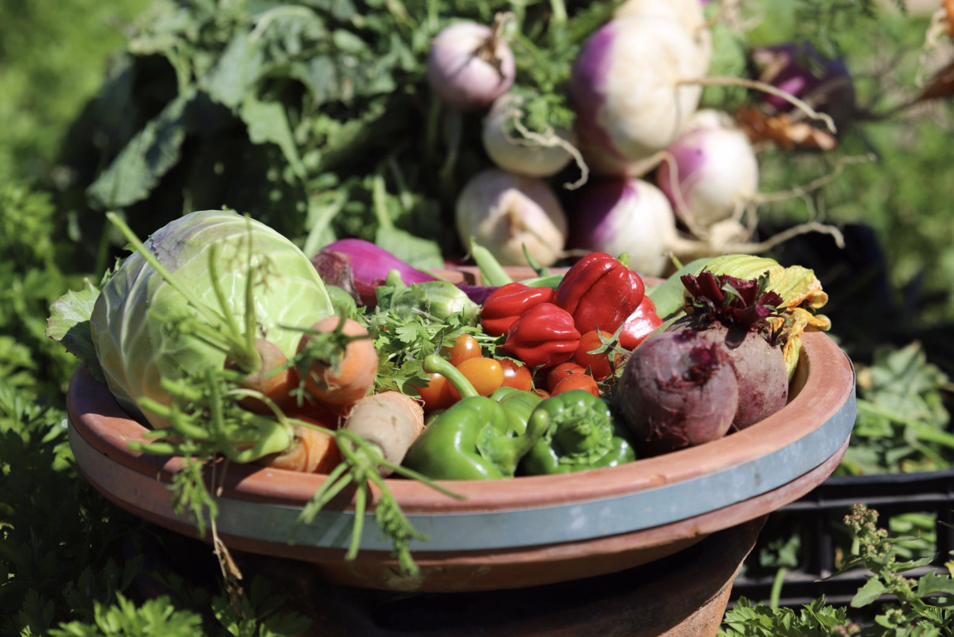 OV Lassarga Escape- Séjour 3 Nuits Kitesurf & Wingfoil à Dakhla