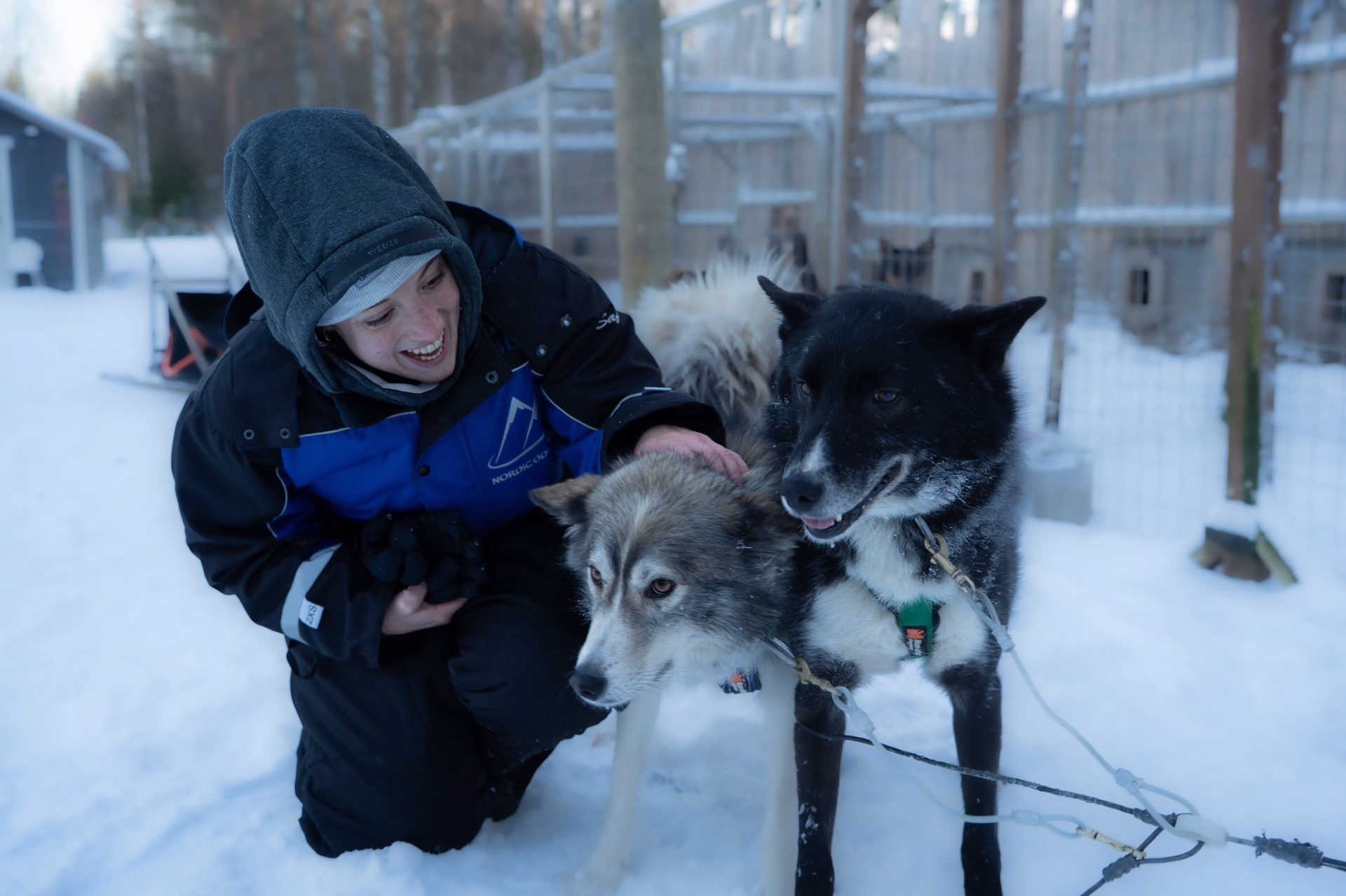 Séjour intimiste en immersion au coeur de la Laponie Finlandaise