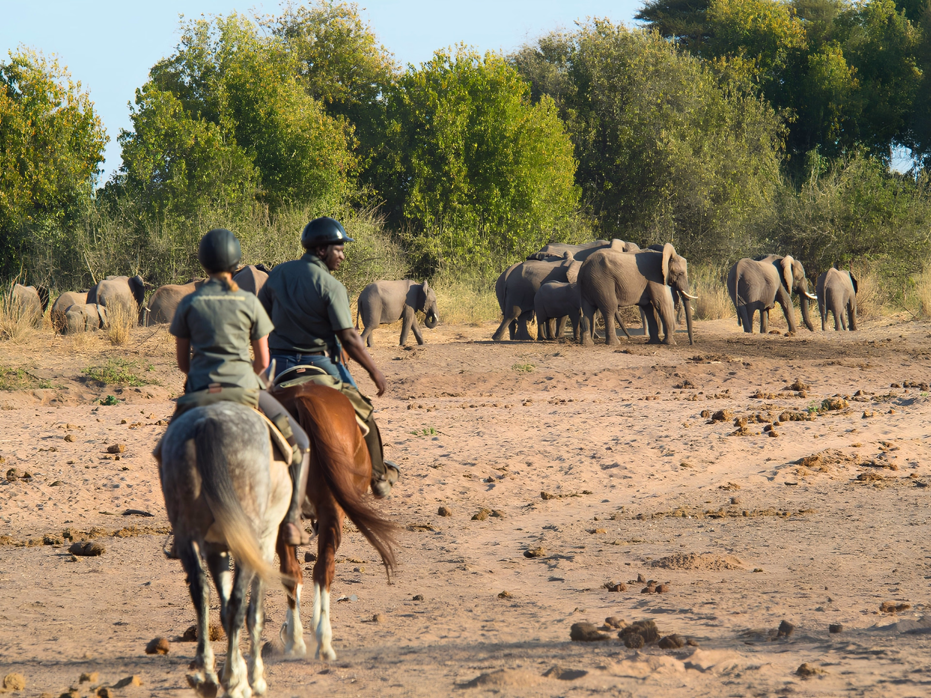 Safari à cheval, de l'Afrique du Sud au Botswana