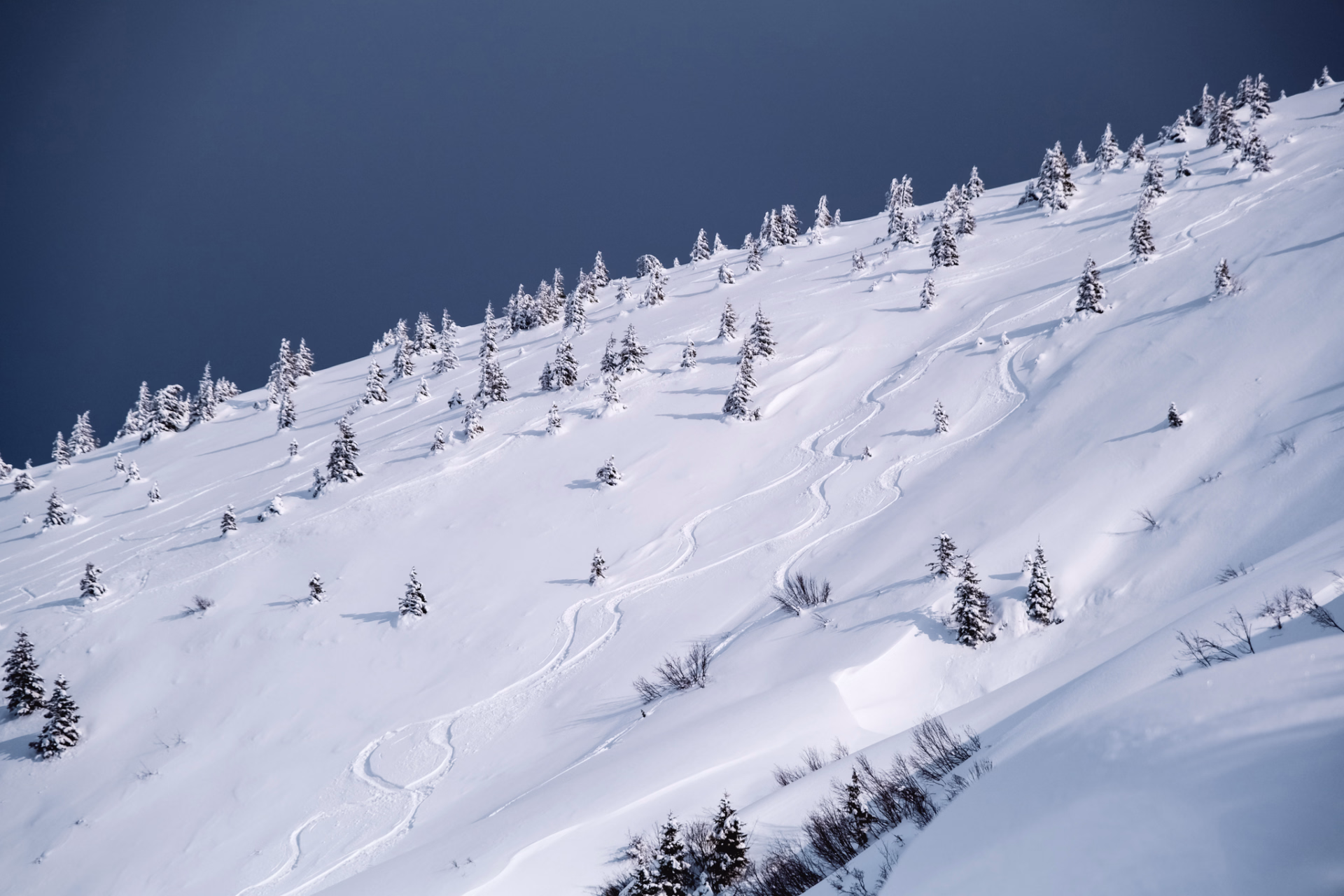 L’appel du grand nord, sans aller trop loin : Le jura © L’appel du grand nord, sans aller trop loin : Le jura