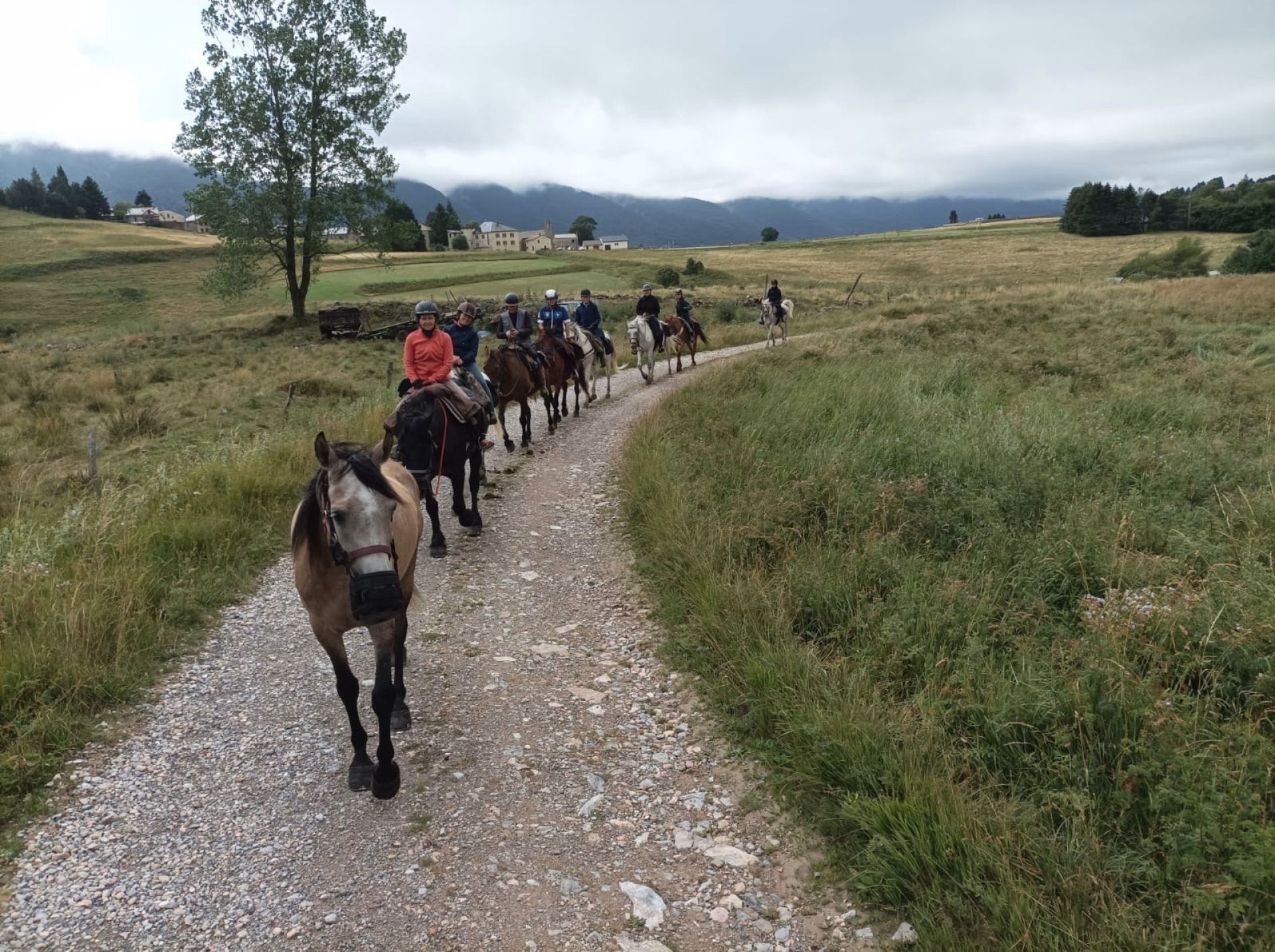 Rando équestre sur le Sentier Cathare pyrénéen