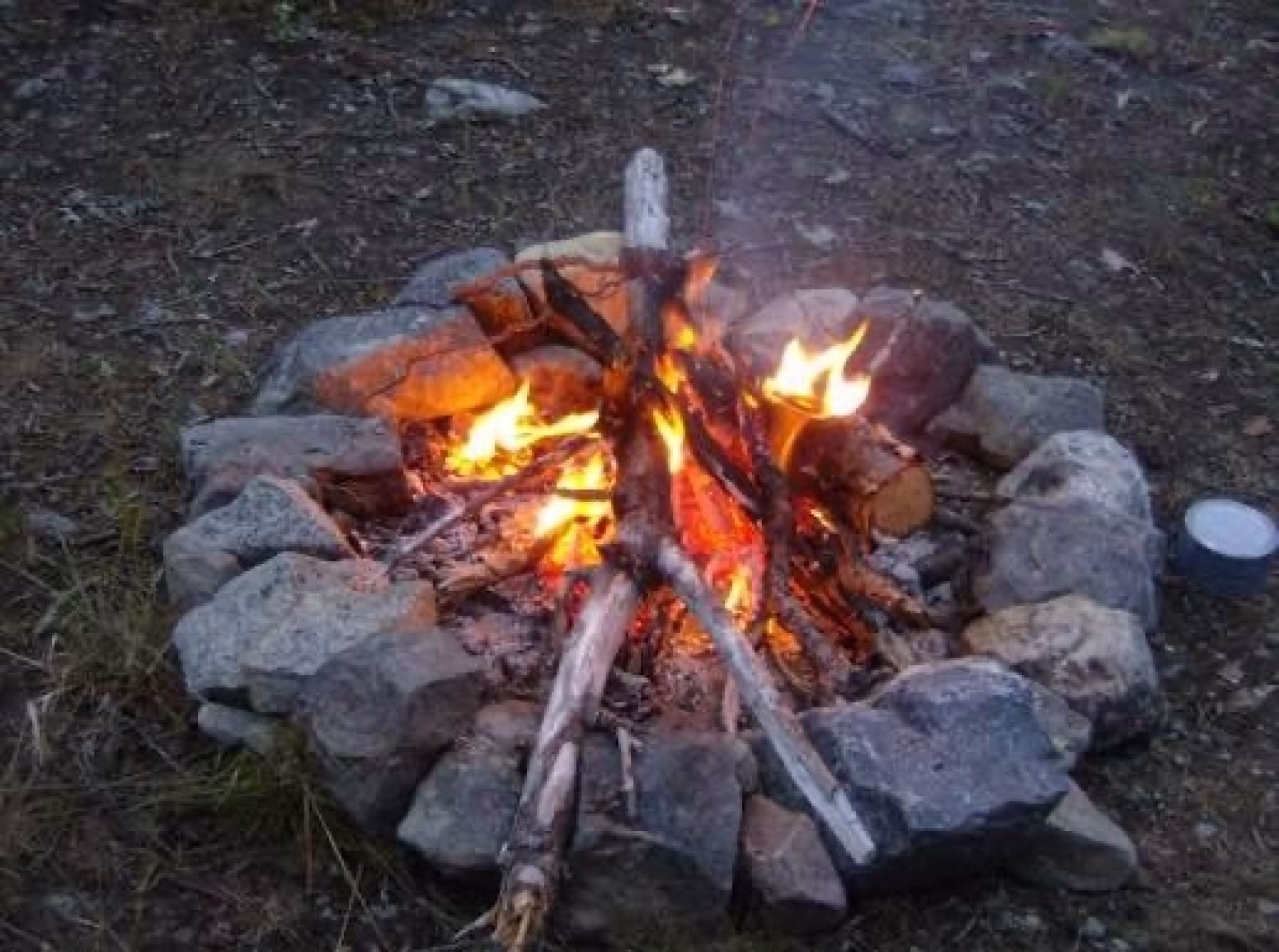 Aventure Bushcraft Famille en Laponie