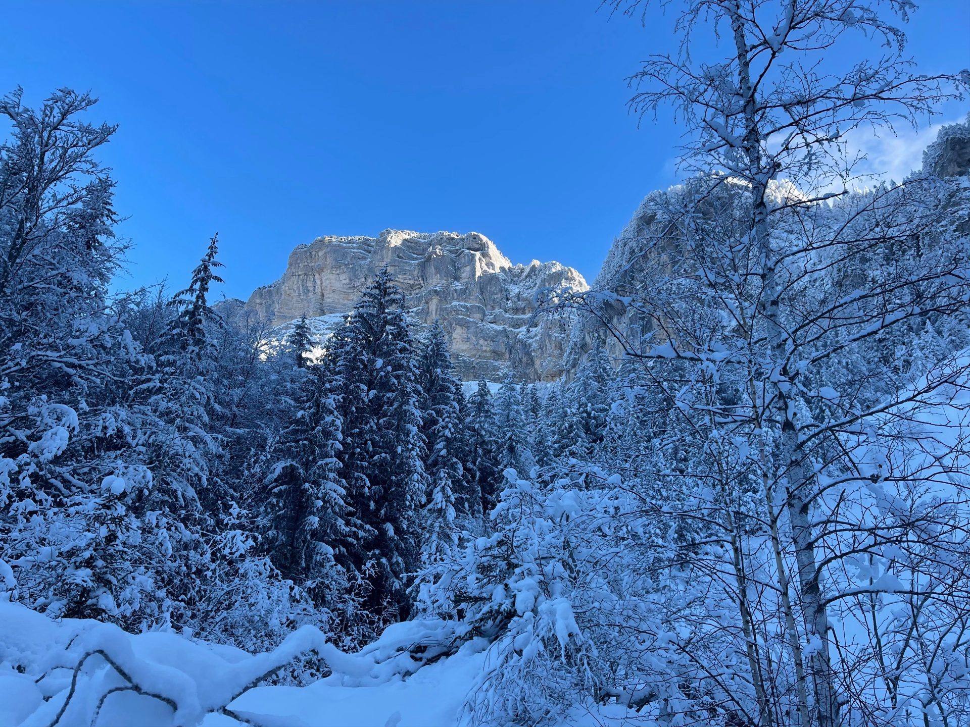 Neige et paysages de Chartreuse en raquettes