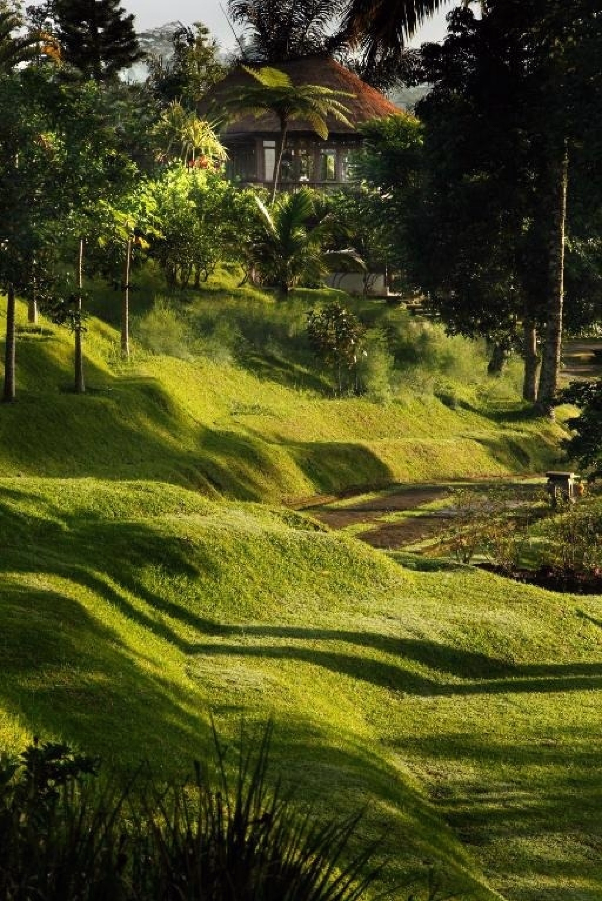 4 jours de Yoga au cœur des forêts tropicales d'Ubud