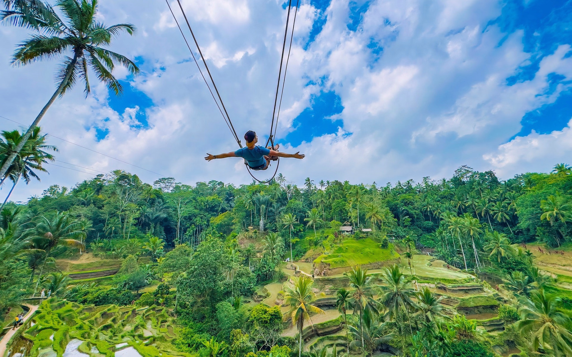 Voyageur solo : Safari plongée & circuit terrestre à Bali - 12 nuits