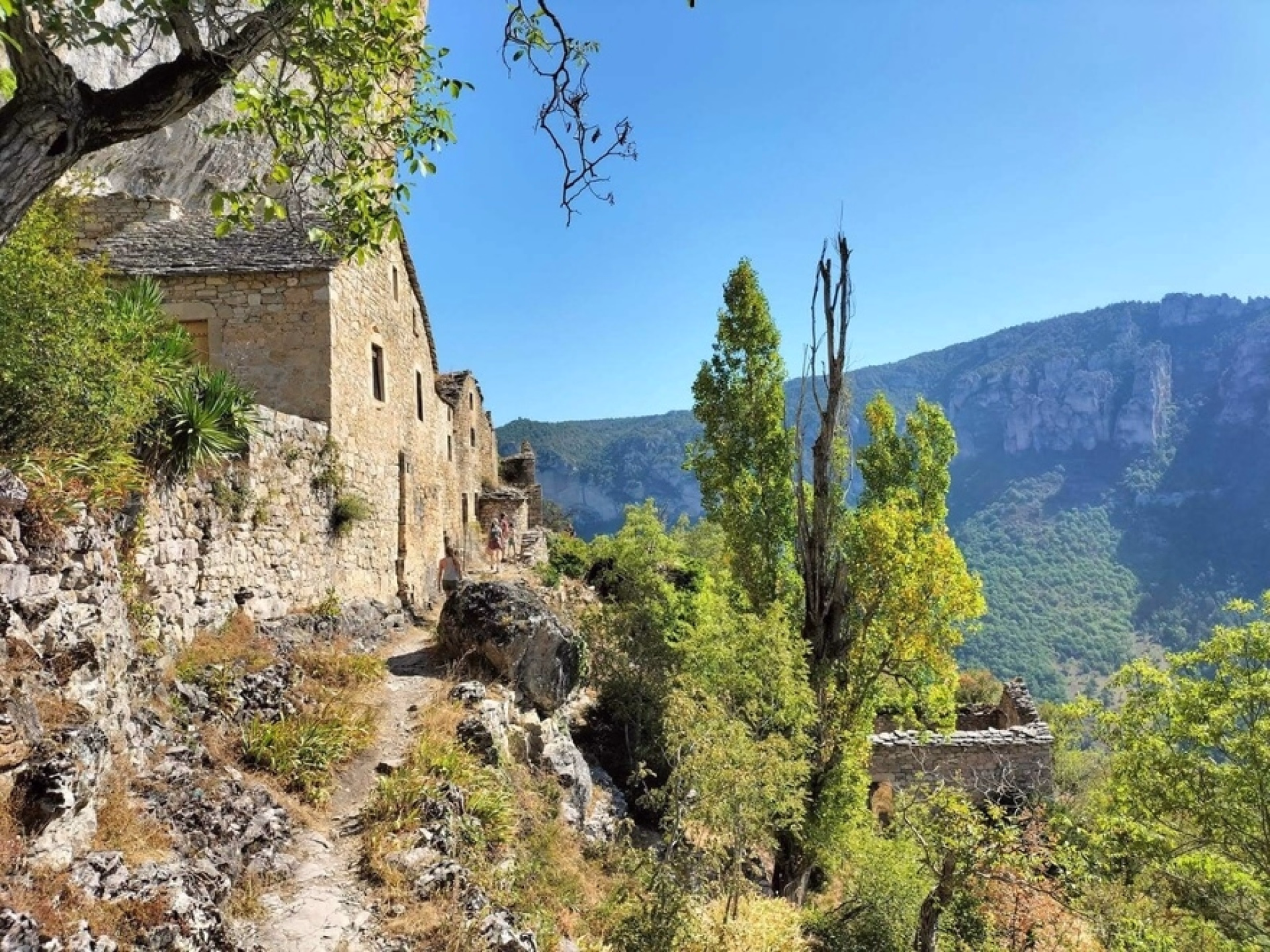 Séjour famille multi-activités dans les Cévennes