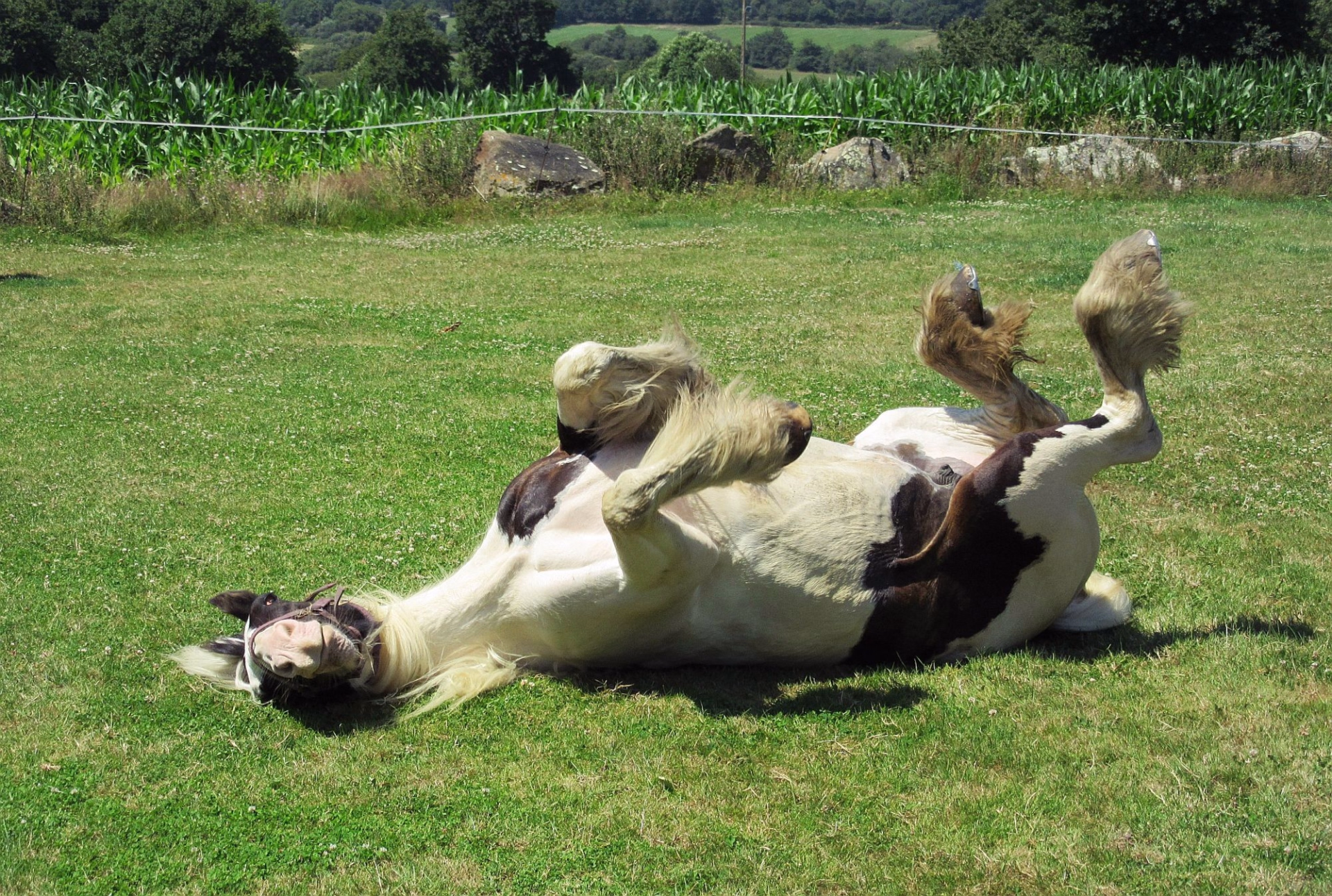 Séjour cheval et pilates nature en Bretagne