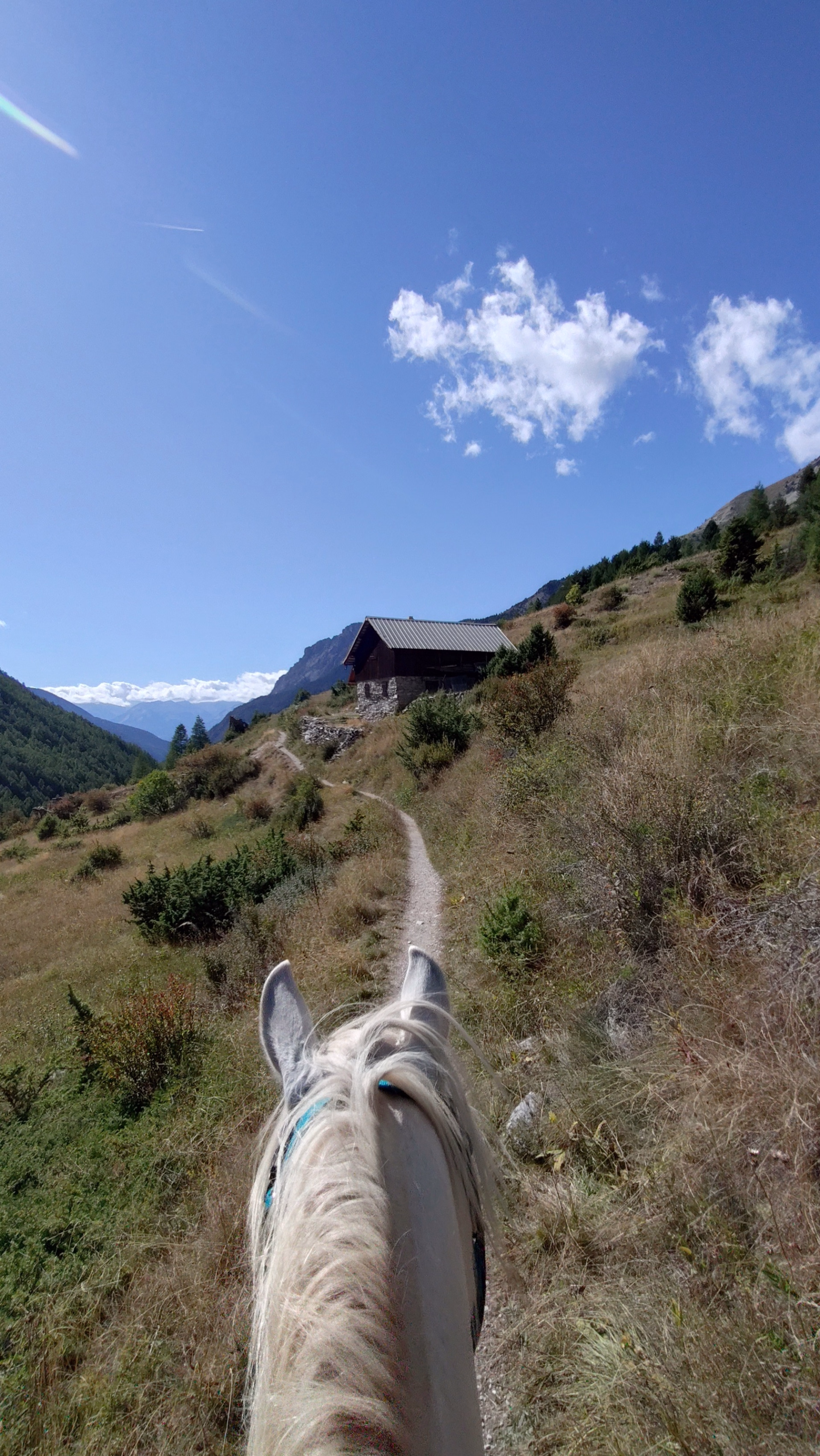 Trek des lacs et panoramas du Viso en Queyras