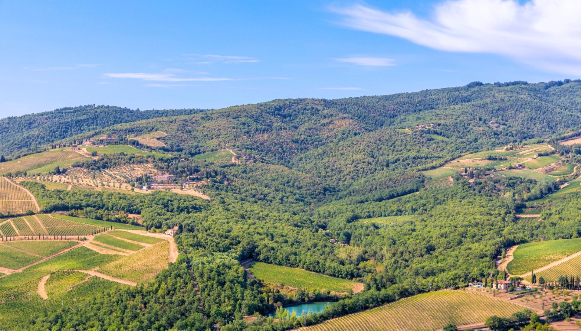 Le Chianti : la Toscane de Florence à Sienne