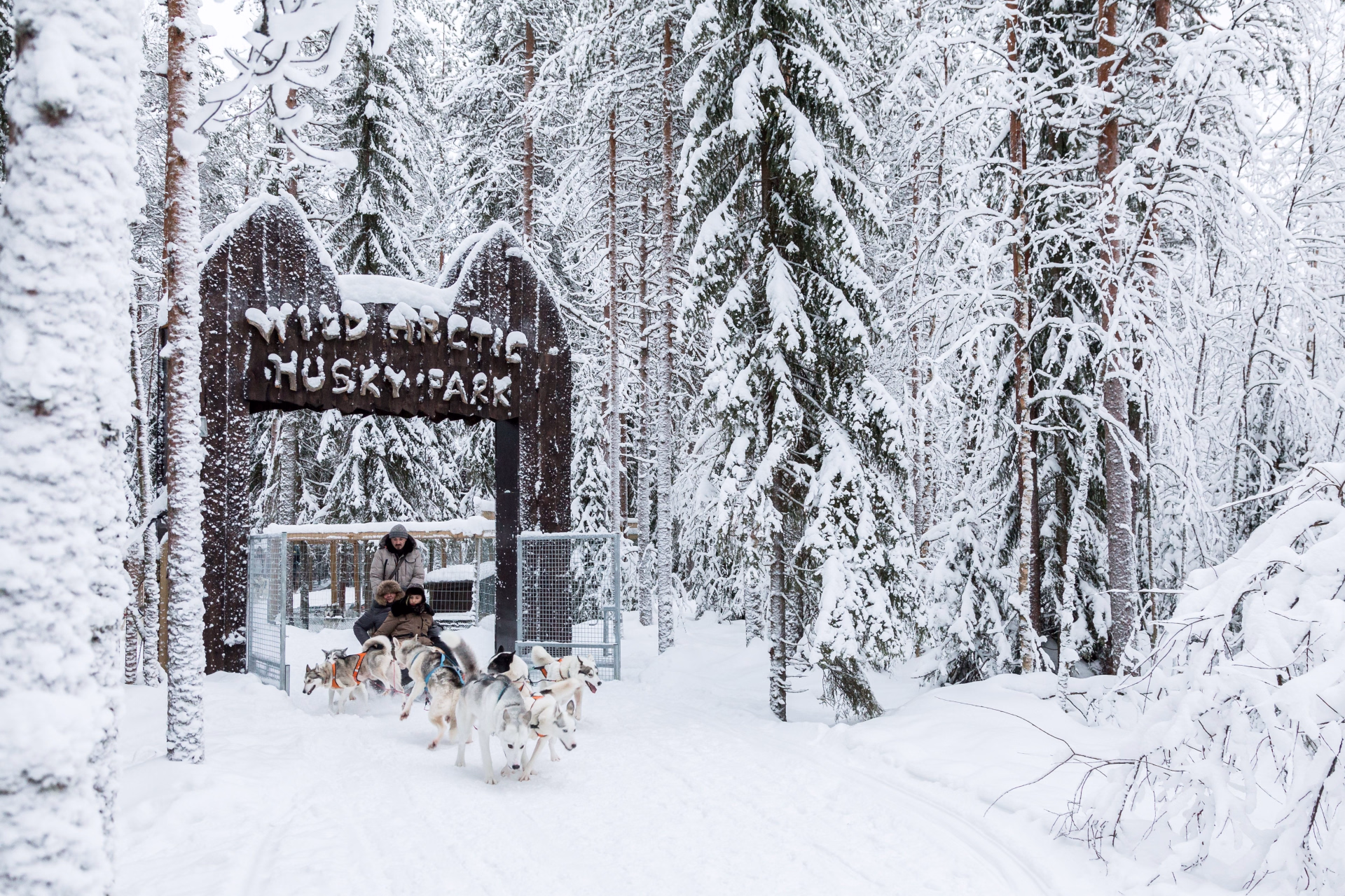 Aventures hivernales et magie de Noël en Laponie finlandaise