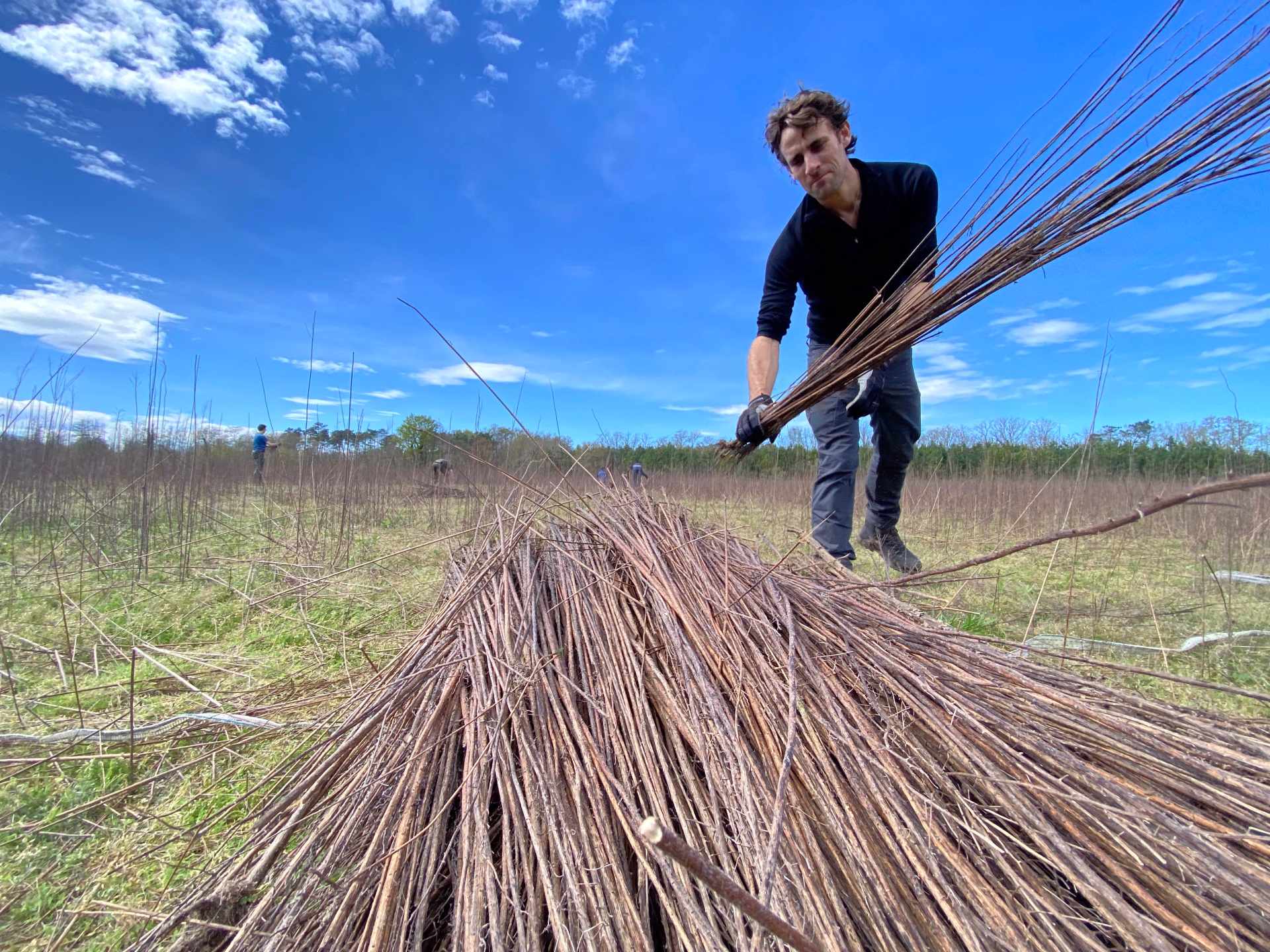 Micro-aventure en pleine nature sauvage dans les Landes