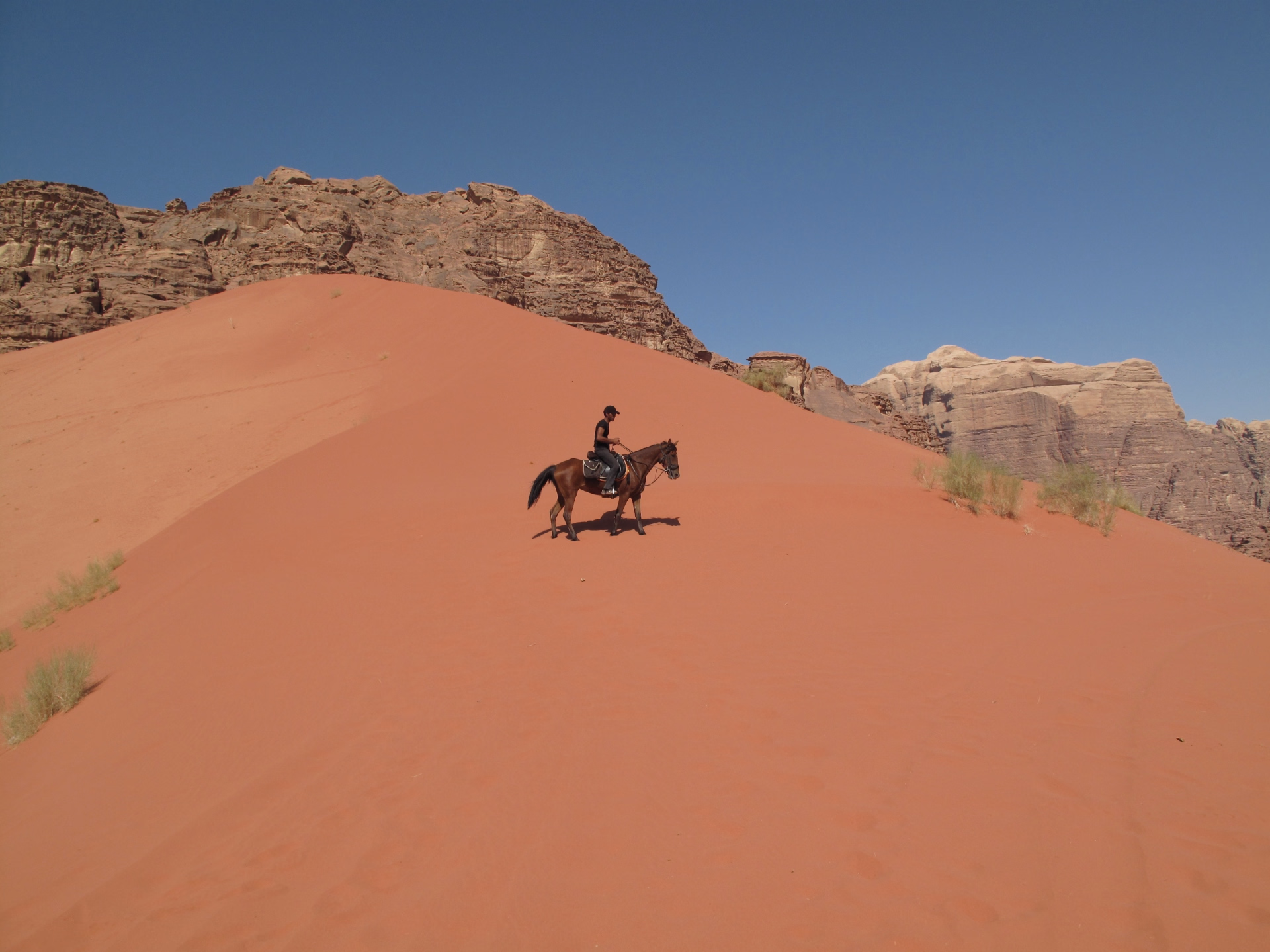 Randonnée à cheval au coeur des trésors de Jordanie