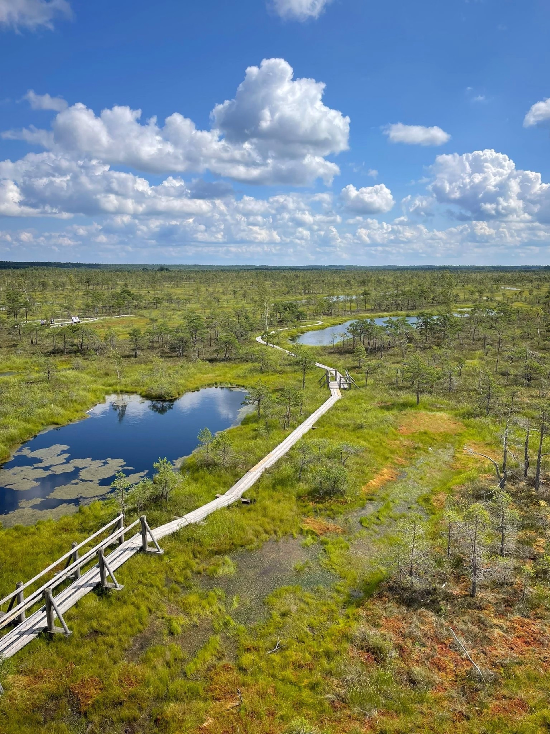 Exploration en train et randonnée au cœur des Pays Baltes