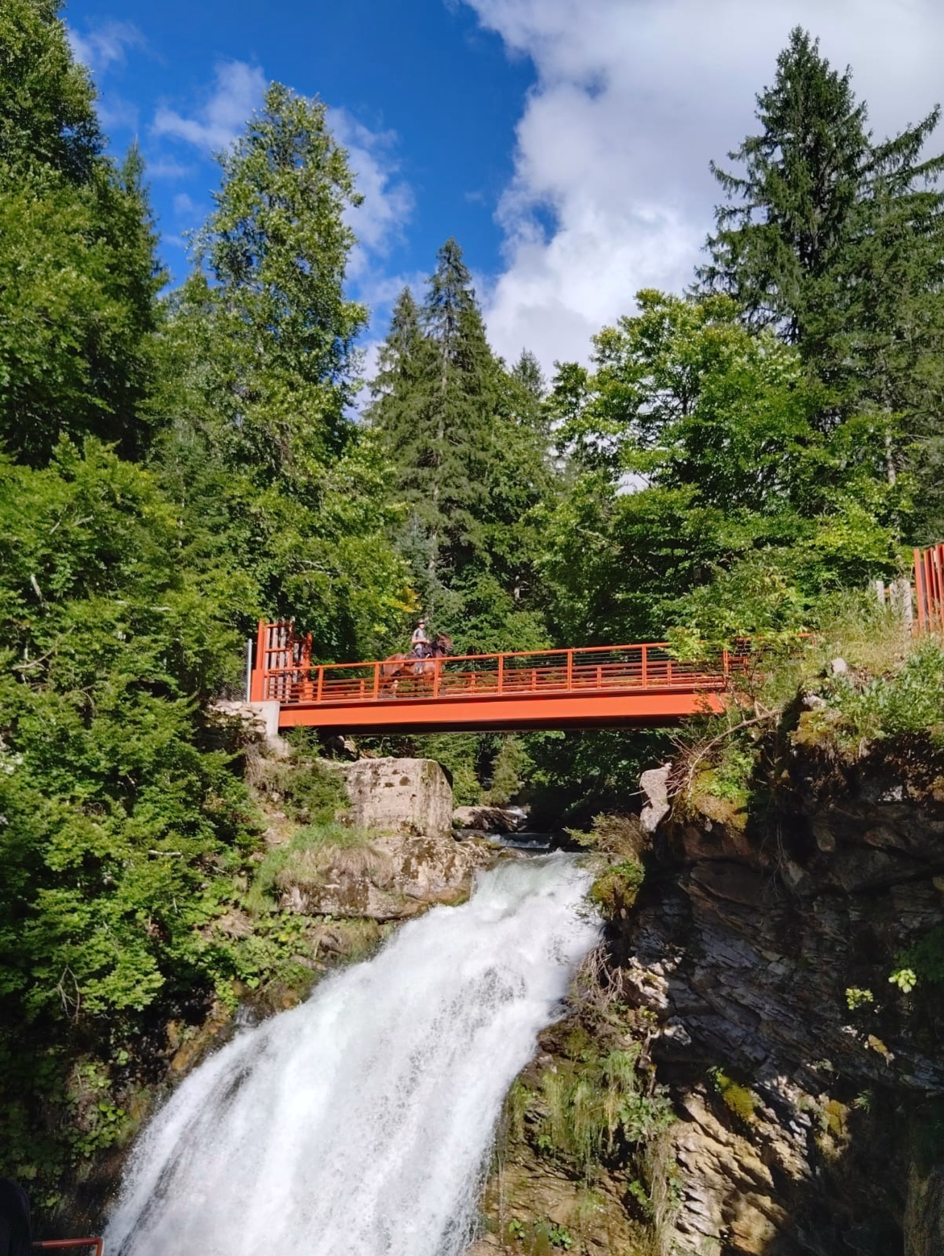 Randonnée à cheval dans les Alpes avec bivouac sous les sommets