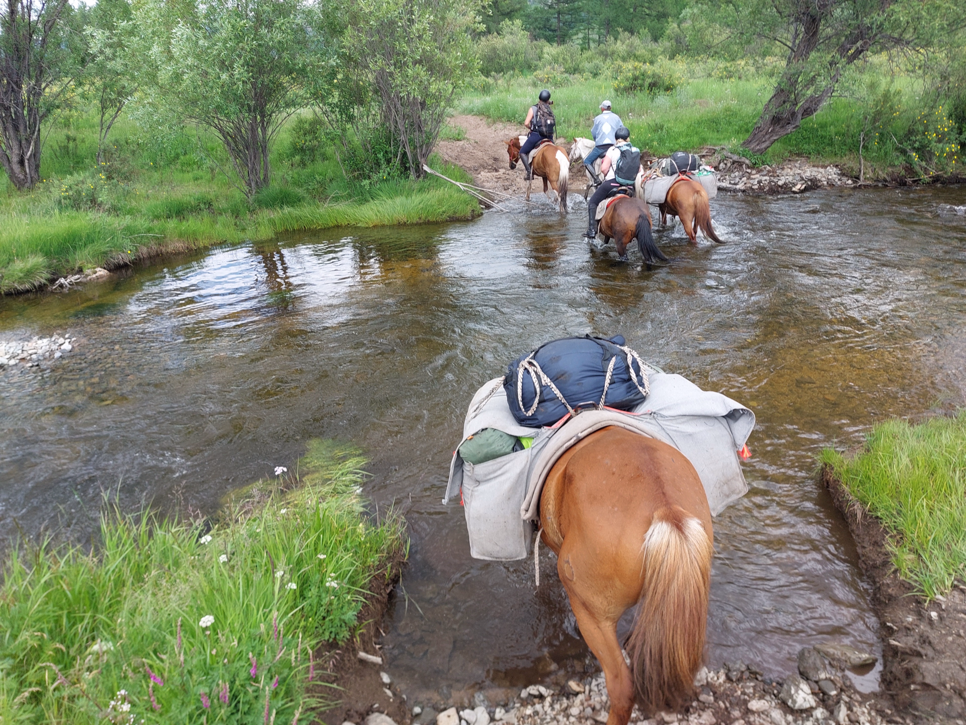 Randonnée à cheval dans le parc national de Terelj en Mongolie
