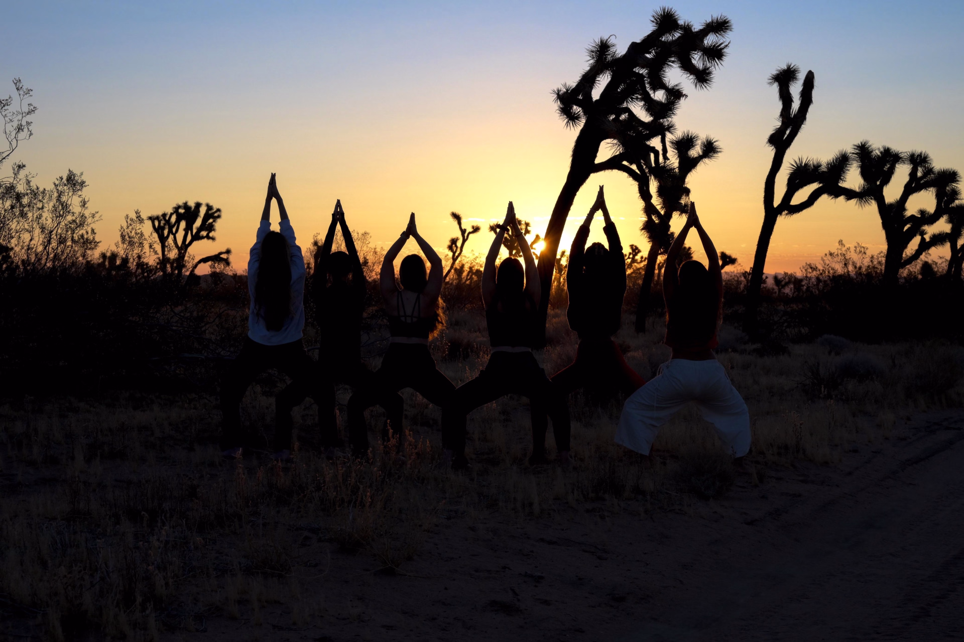 Désert sauvage — 6 jours de yoga & d'aventure à Joshua Tree