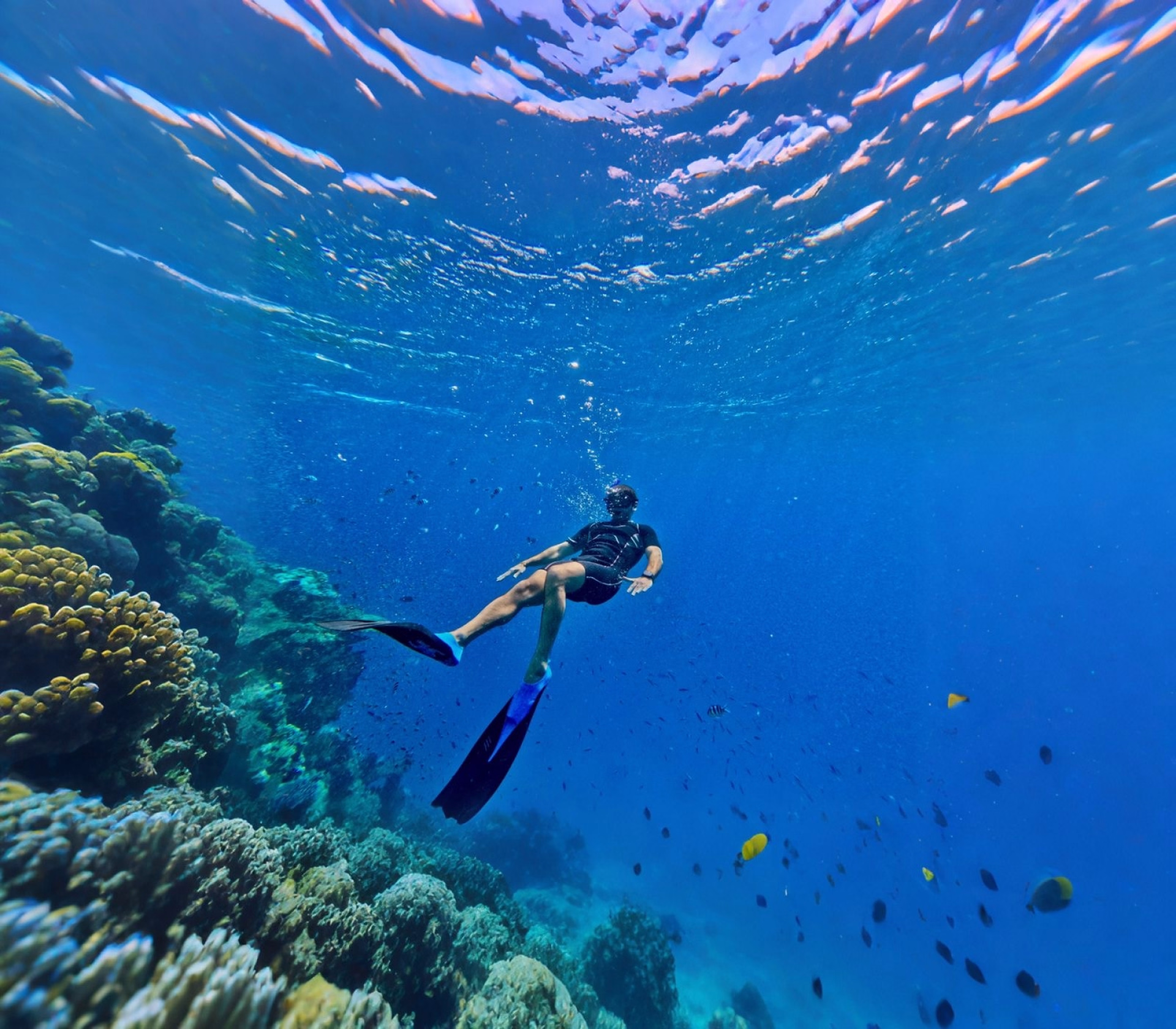 Snorkeling - Découvrez le monde sous marin de Ras Mohammed en palmes