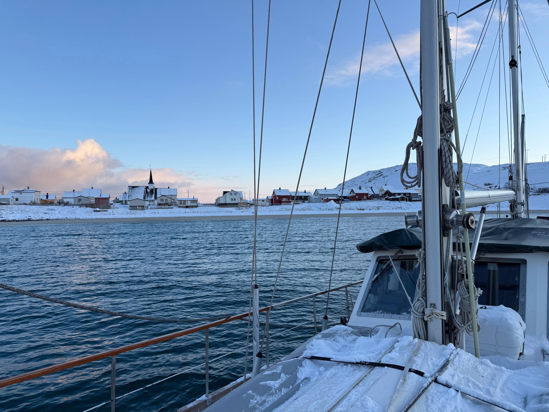 Expédition en terre arctique - chiens de traîneau et bivouac