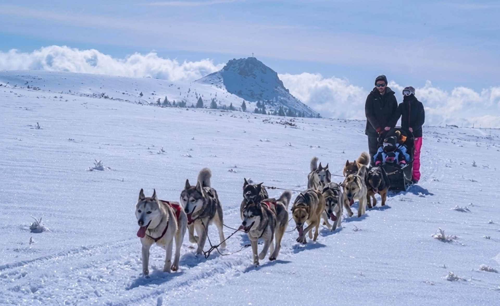 Yoga, rando raquettes et chiens de traîneaux en Auvergne