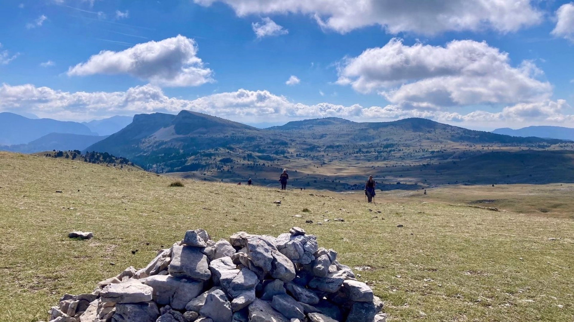 Sur les traces du loup : à la rencontre de votre part sauvage